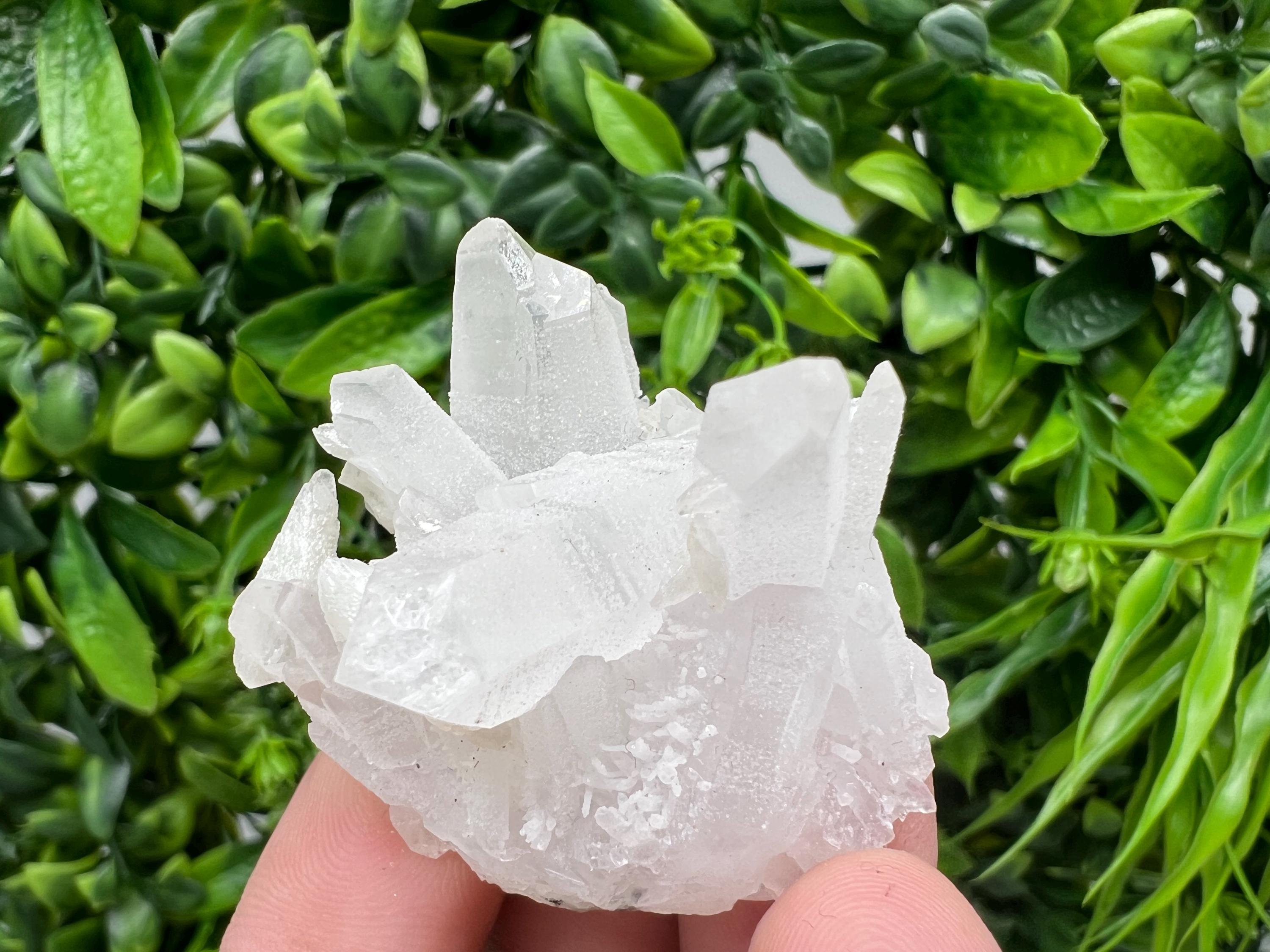 Wonderful Transparent Quartz on Chlorite Matrix,From Borieva mine,Madan,Bulgaria,Quartz,Quartz crystal,mineral specimen,collection quartz