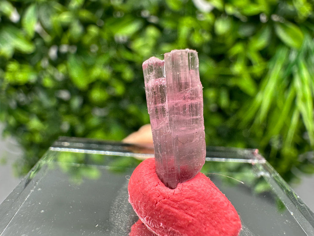 Rare Pink & Green Rubellite Tourmaline Pencil - 15mm