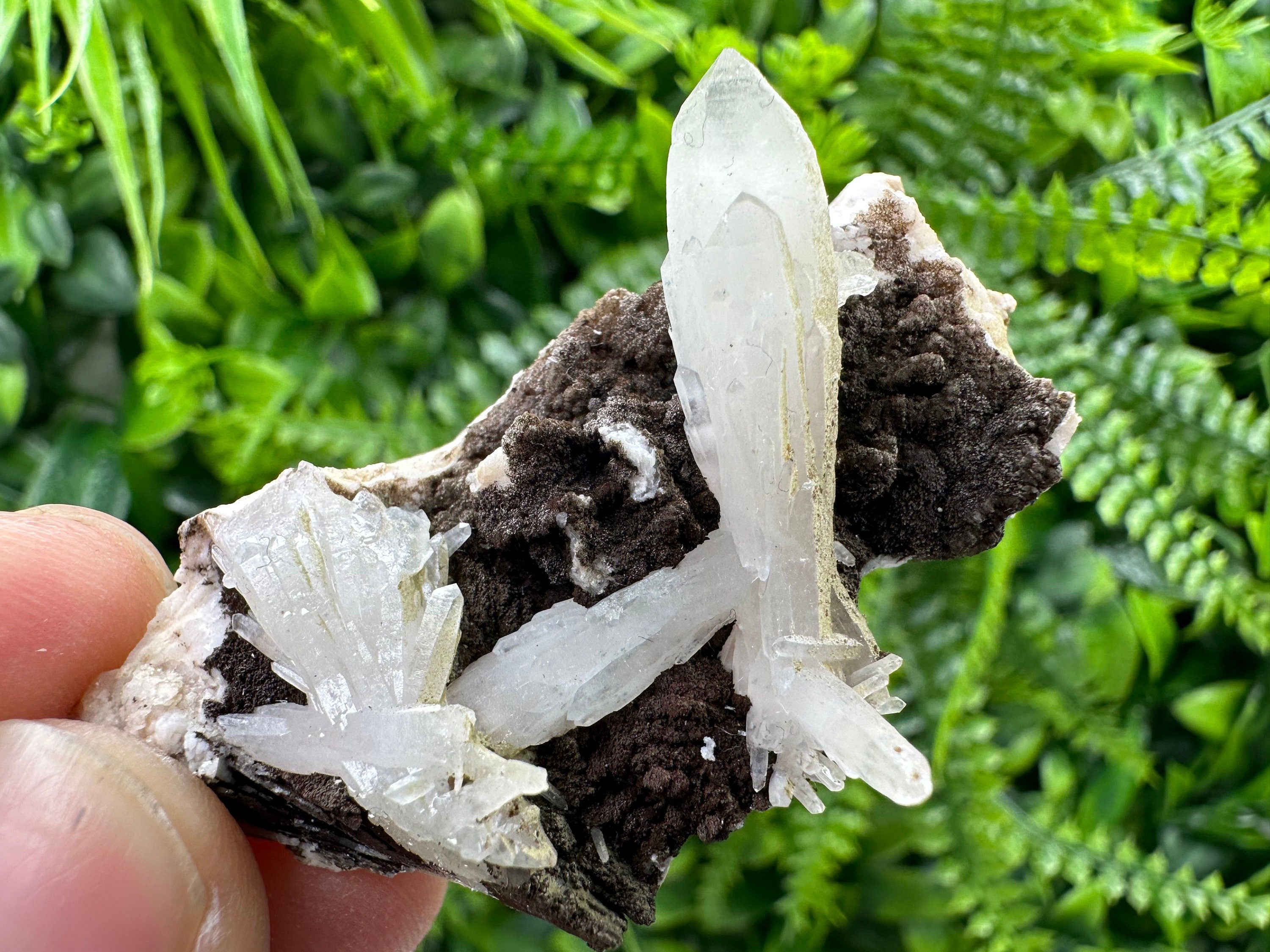 Quartz with Chlorite on Rhodochrosite and Siderite