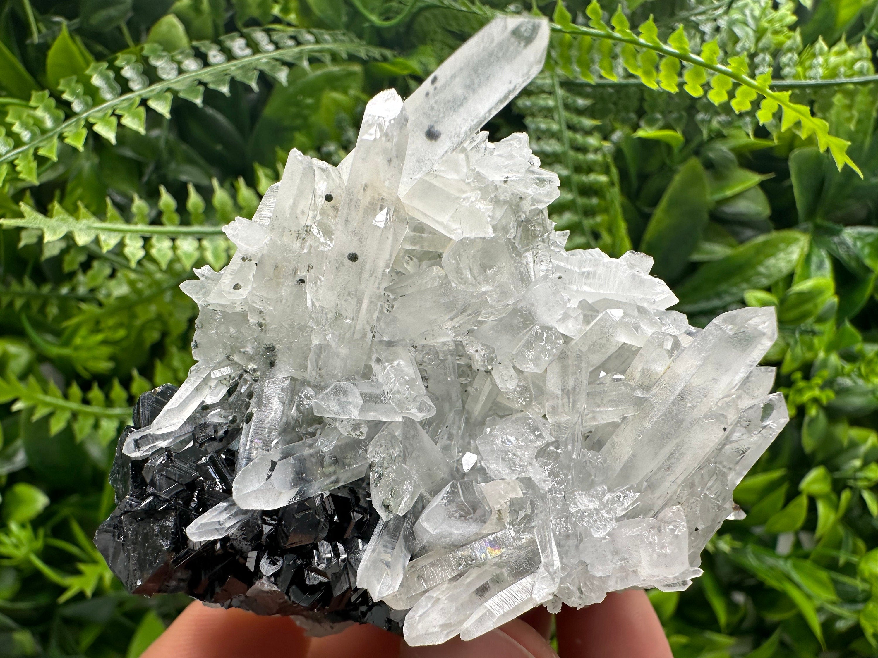 Quartz Cluster with Black Sphalerite, Krushev dol Bulgaria