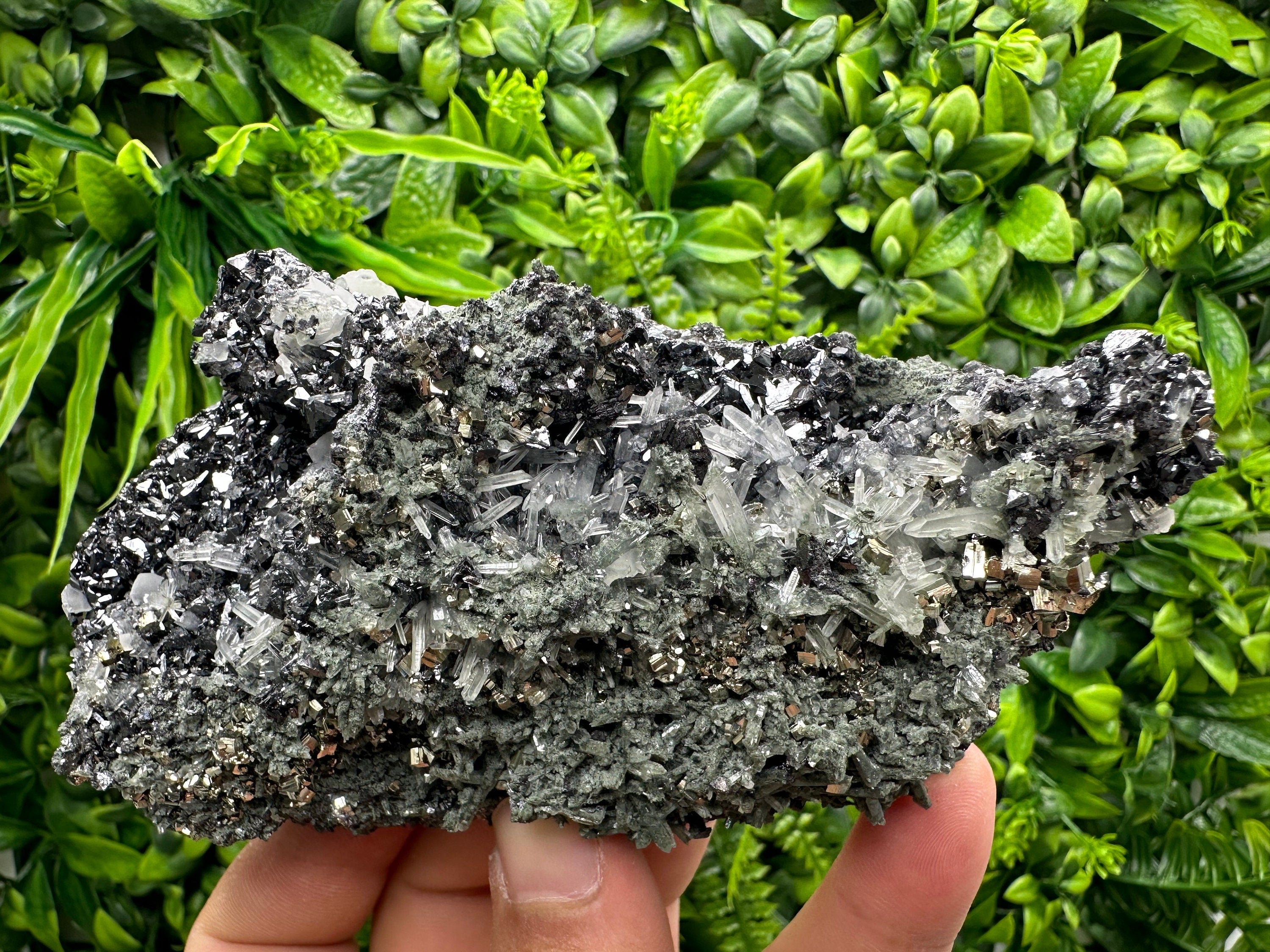 Pyrite Sphalerite Quartz Cluster with Chlorite, Borieva Bulgaria