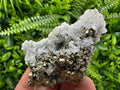 Pyrite on Quartz: Borieva Mine Crystal Home Decor