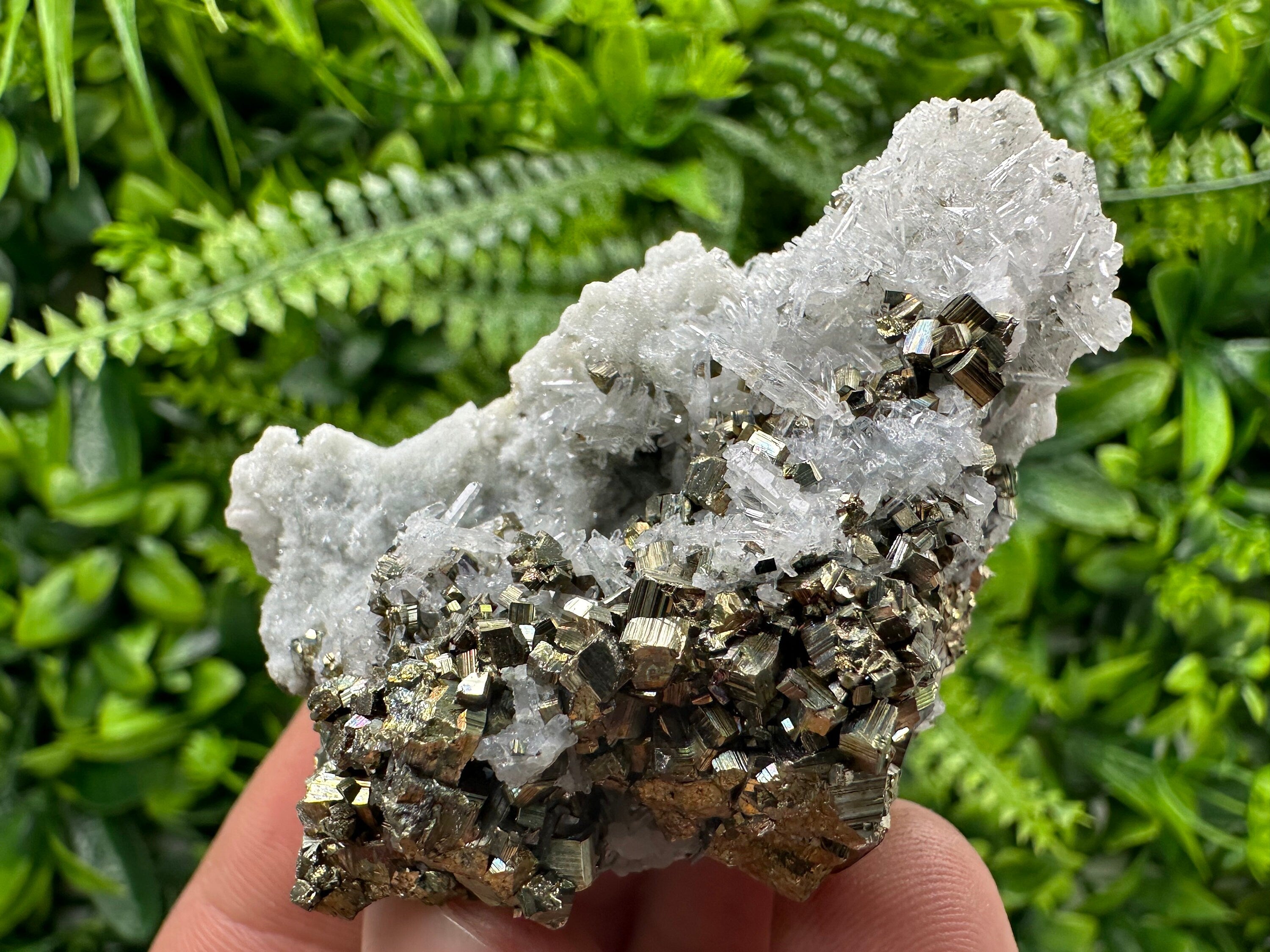Pyrite on Quartz: Borieva Mine Crystal Home Decor