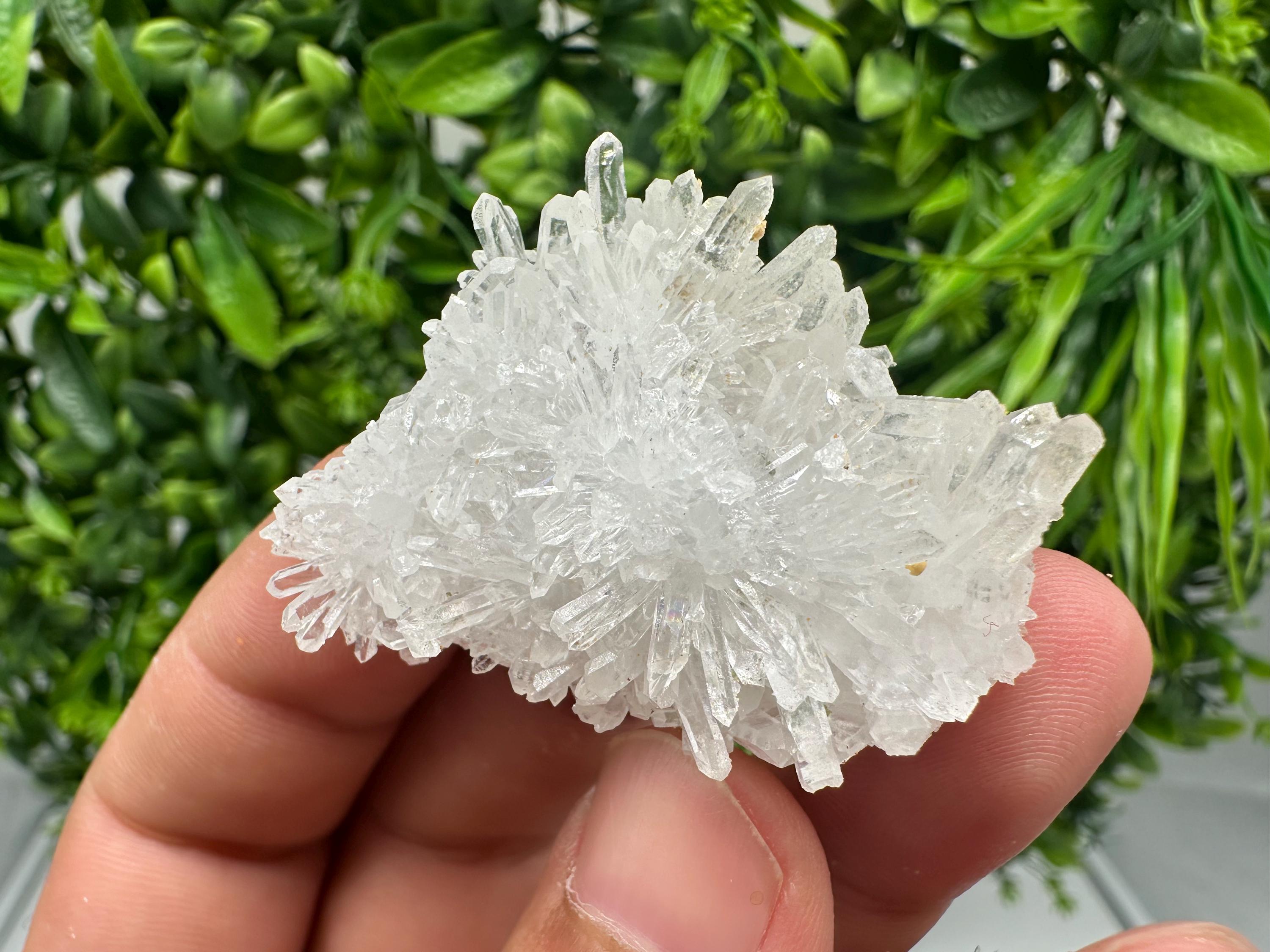 Transparent Quartz on Chlorite Matrix, Borieva Mine, Bulgaria