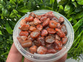 Red Agate Chips: Mini Gemstone Pebbles, Chakra Healing Stones