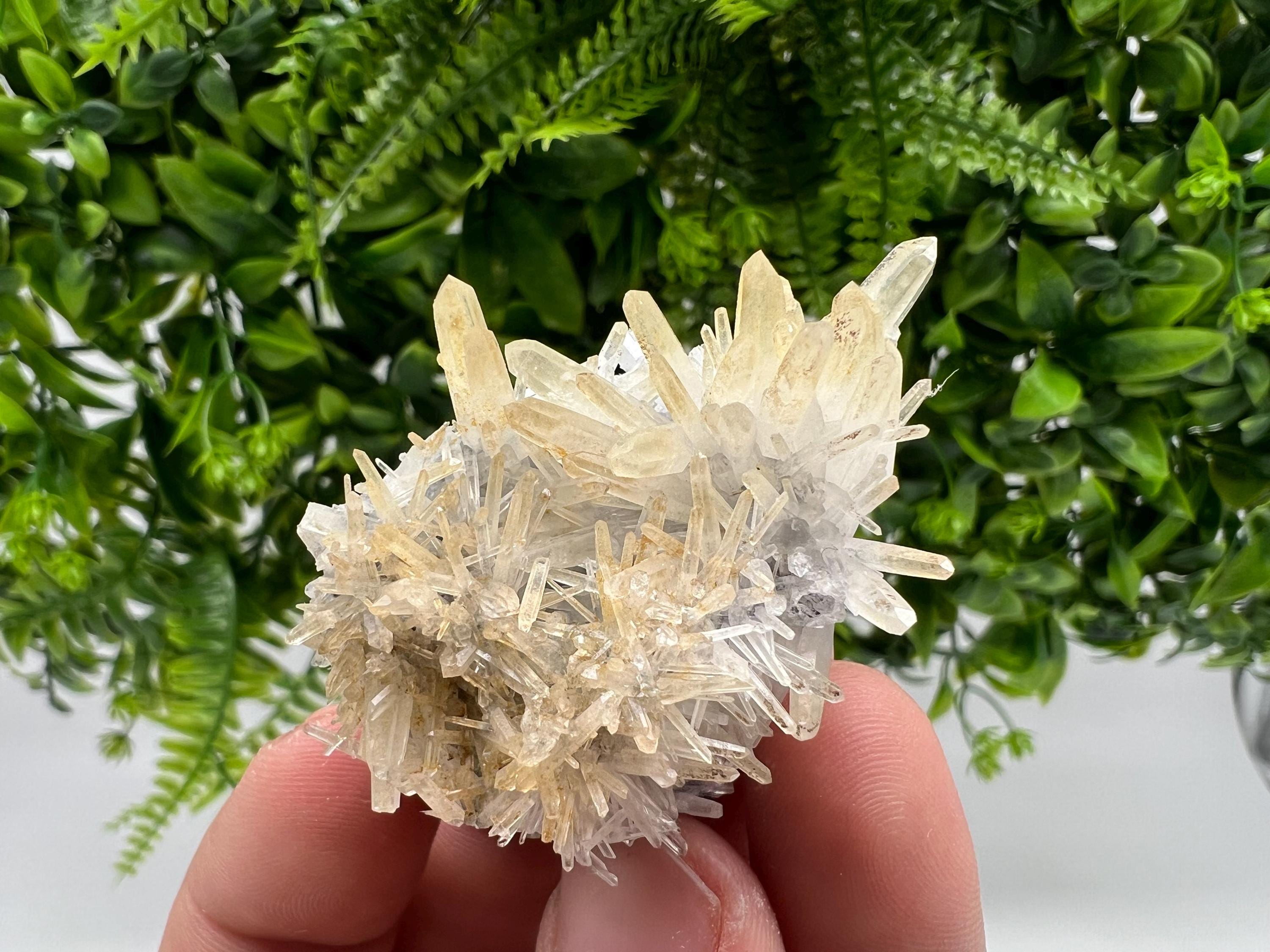 Stunning Quartz from 9 th September mine,Bulgaria,Quartz iron oxide limonite quartz,yellow Quartz,natural collection mineral specimen,home