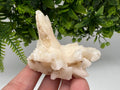 Calcite on Green Quartz: Djurcovo Mine, Bulgaria Healing Crystal