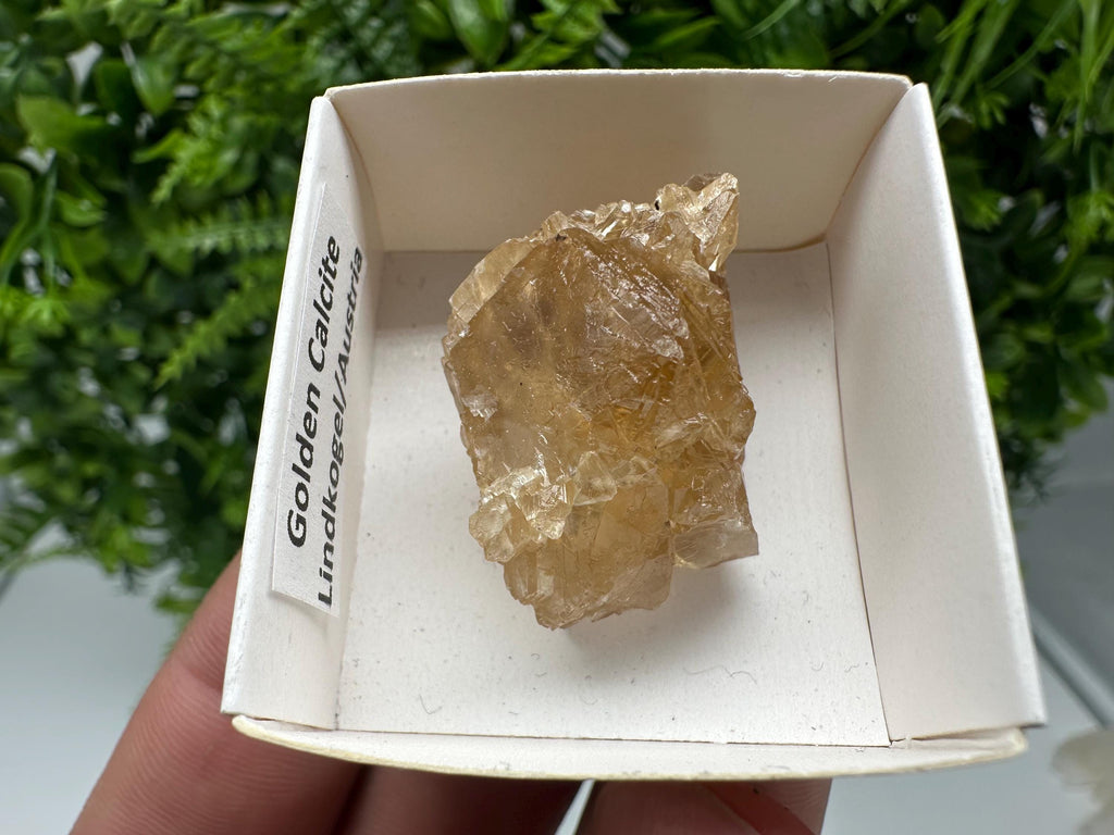 Raw Honey Calcite Crystal: Rough Golden Stone (3.5/2.5 cm)