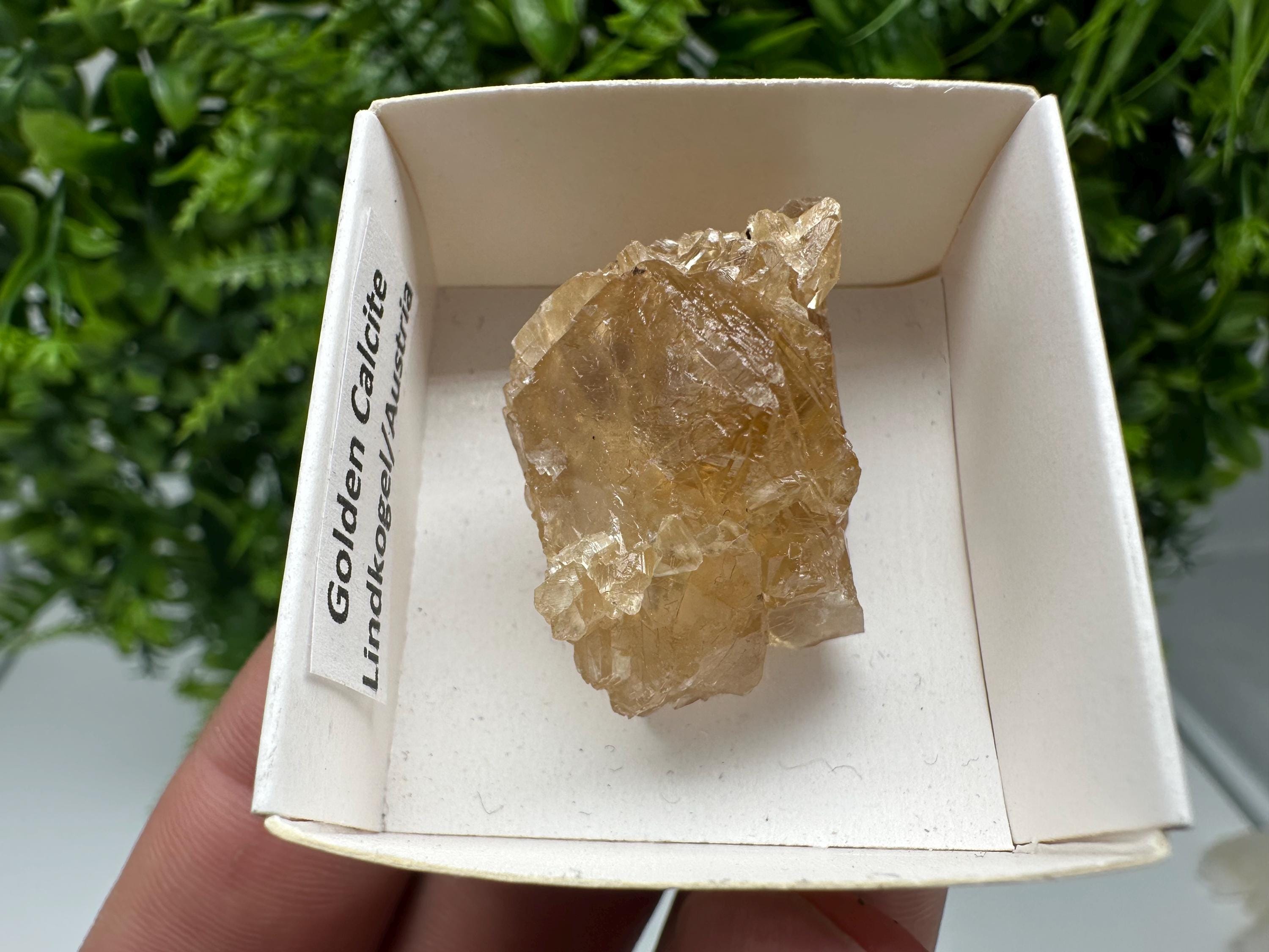 Raw Honey Calcite Crystal: Rough Golden Stone (3.5/2.5 cm)