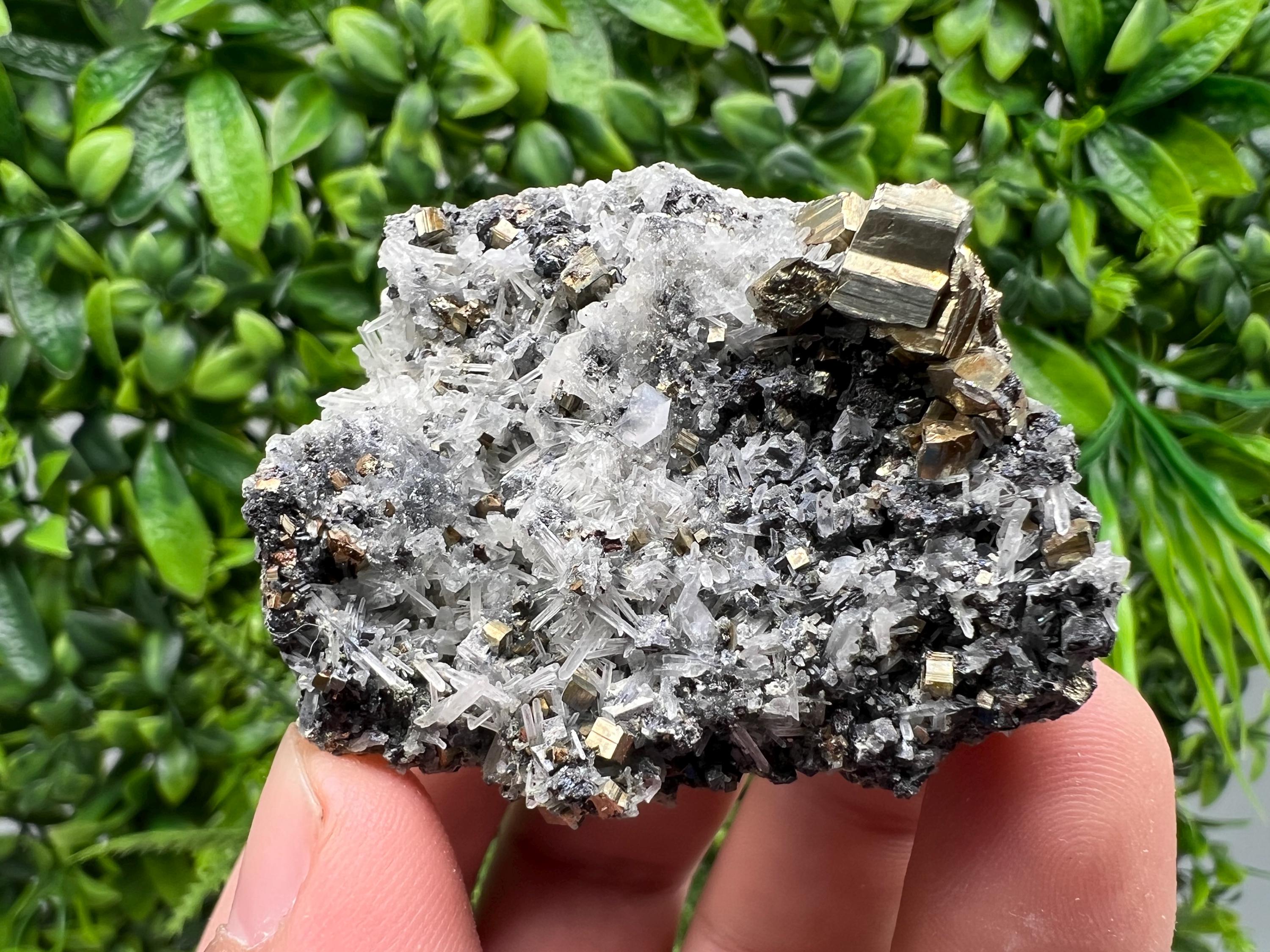 Rainbow Pyrite on Quartz, Oxide Mineral Specimen, Bulgaria