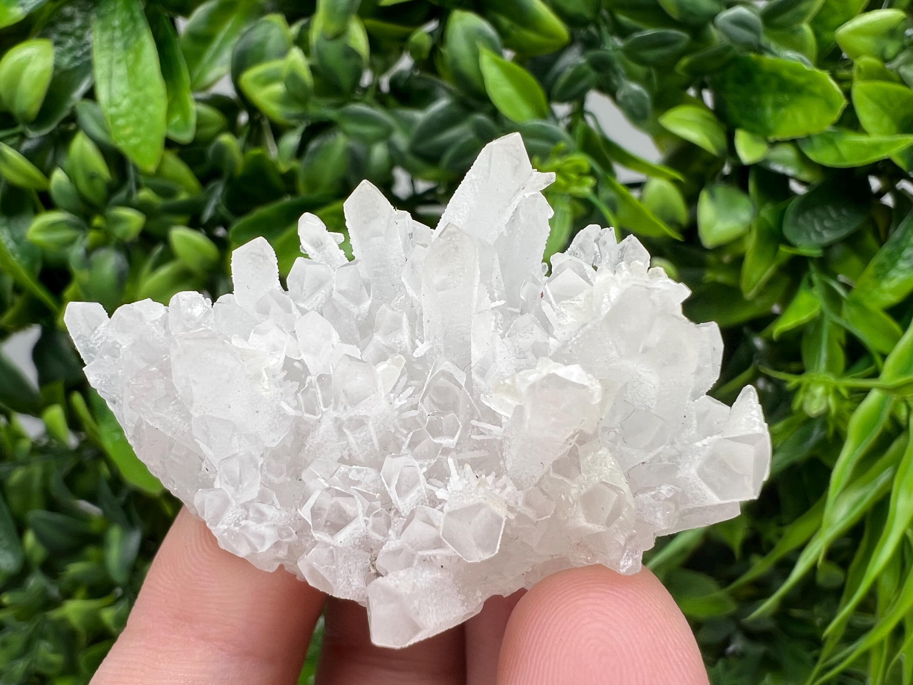 Transparent Quartz on Chlorite Matrix, Borieva Mine, Bulgaria