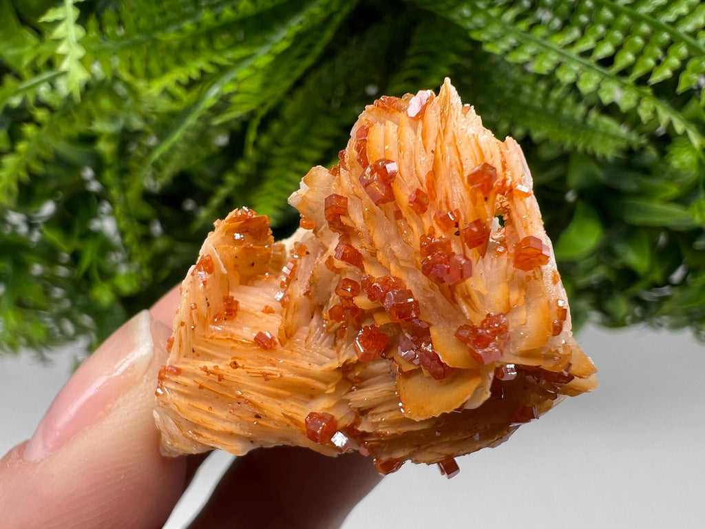 Red Vanadinite on Barite from Marocco,crystal minerals Speciment cluster Vanadinite crystal Vanadinite Geology Vanadinite cluster minerals