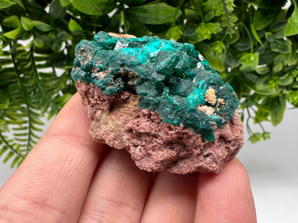 Stunning Green Dioptase from Sanda Hills,Mindouli,Pool Department,Mindouli District,Congo,green Dioptase,Dioptas Crystal,Dioptase collecting