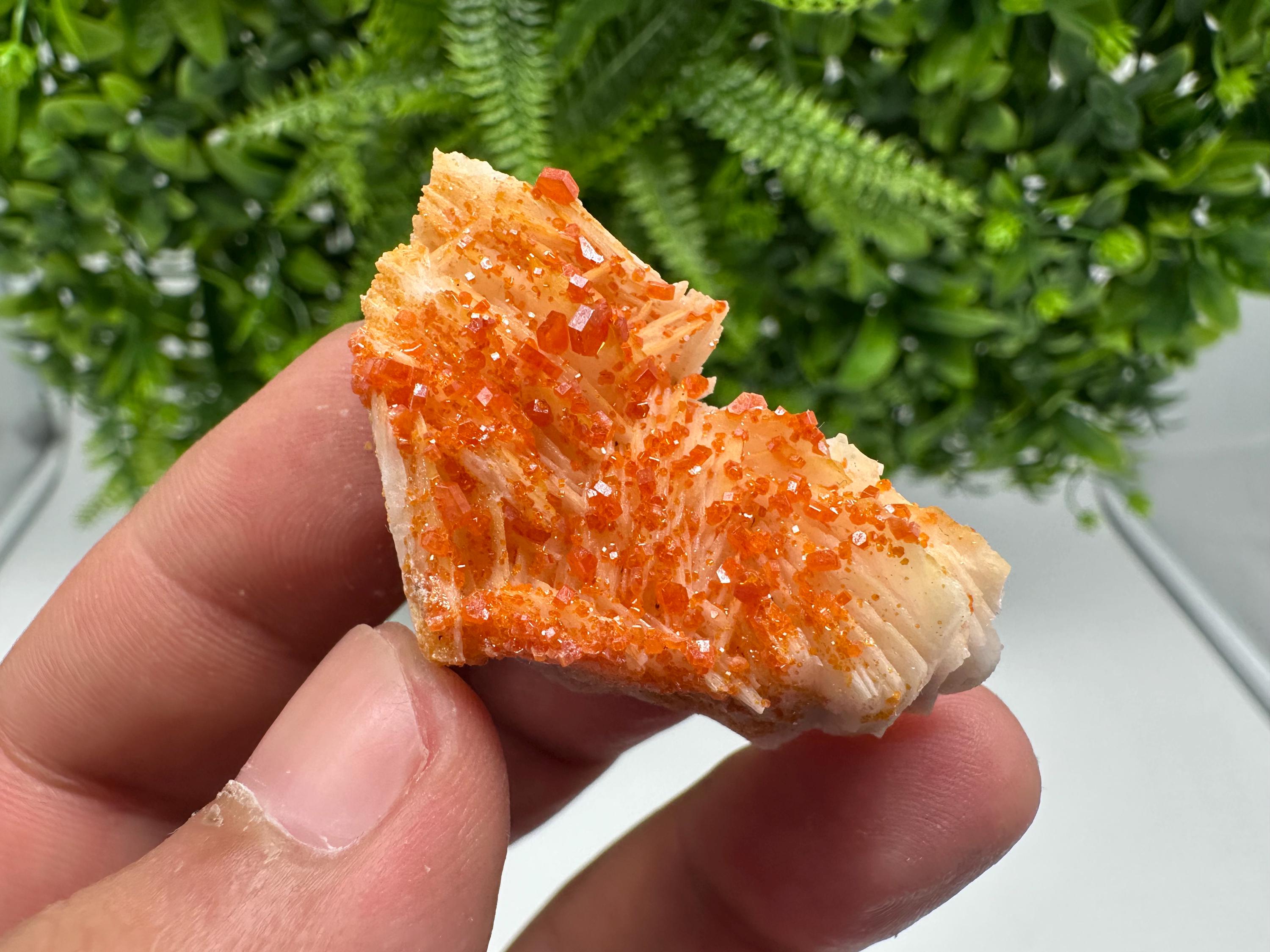 Red Vanadinite on Barite from Marocco,crystal minerals Speciment cluster Vanadinite crystal Vanadinite Geology Vanadinite cluster minerals