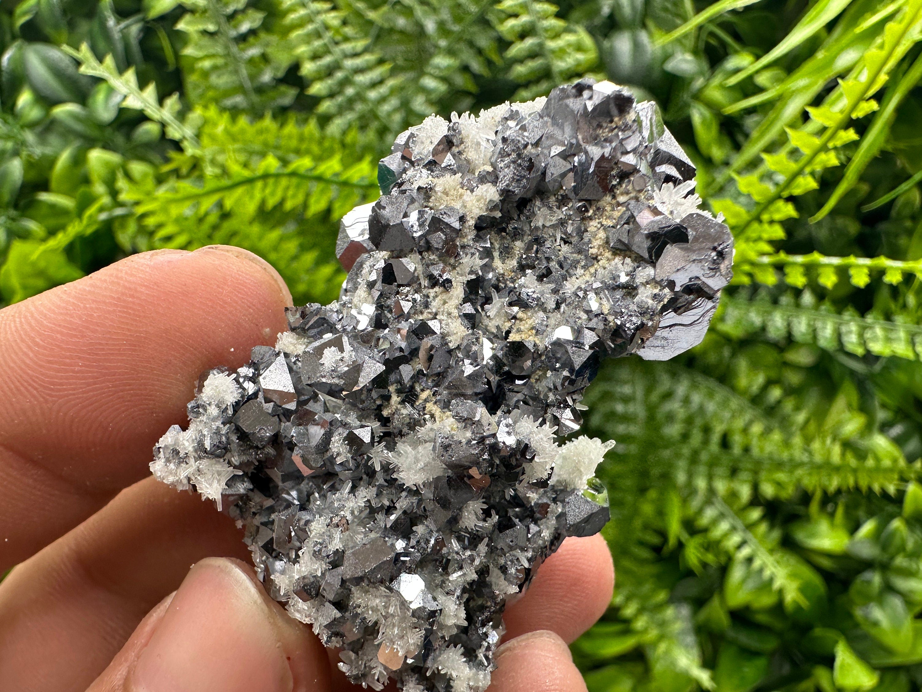 Shiny Galena on Quartz, Borieva Mine, Bulgaria
