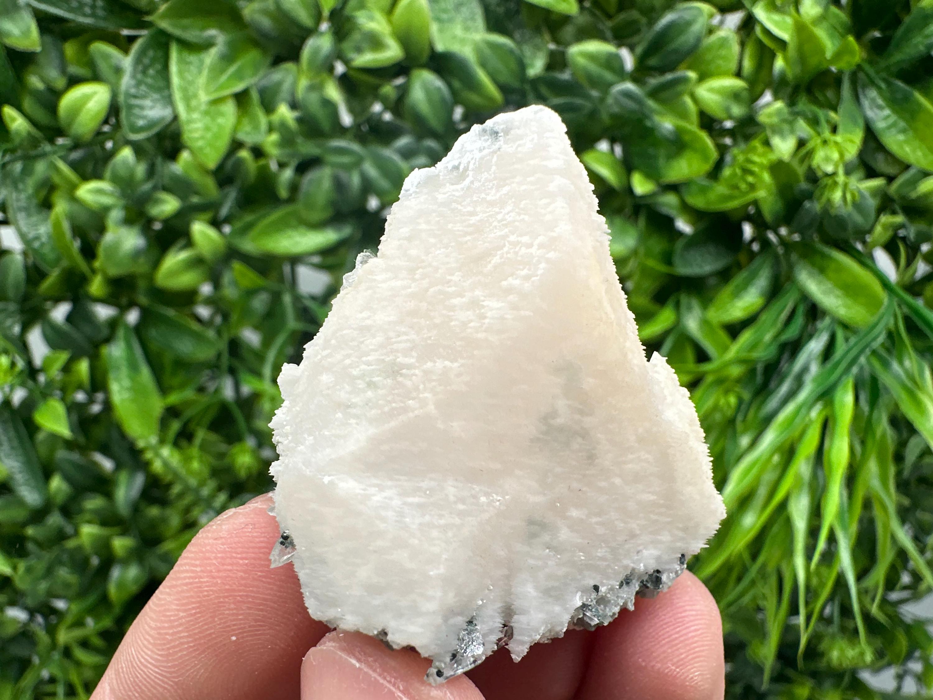 Mangano Calcite with Galena, Borieva Mine Mineral Specimen