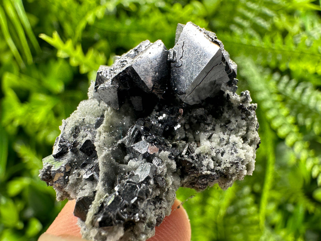 Galena on Quartz: Natural Mineral Specimen, Borieva Mine