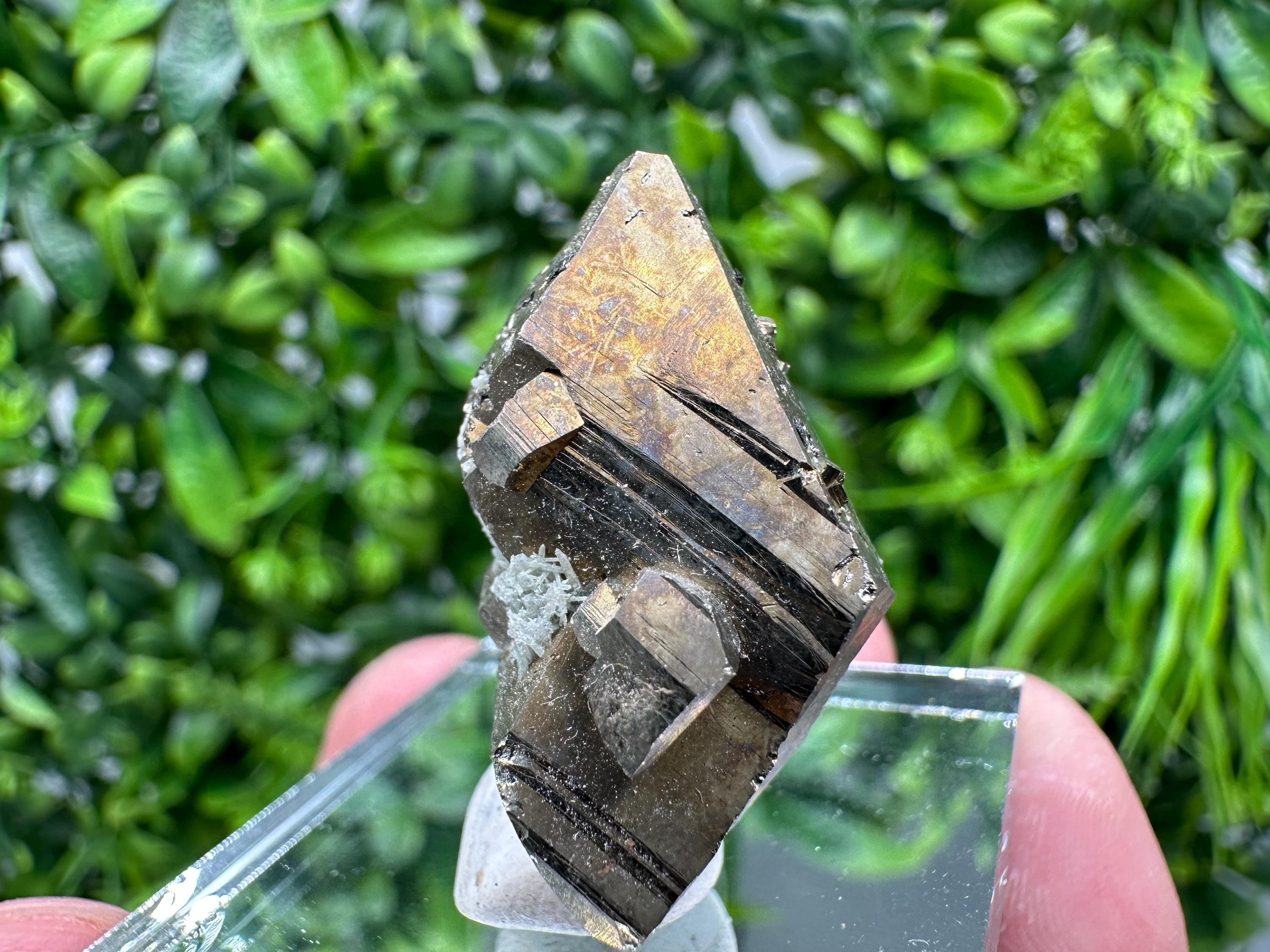 Mini Rainbow Pyrite Cluster: Borieva Mine, Bulgaria
