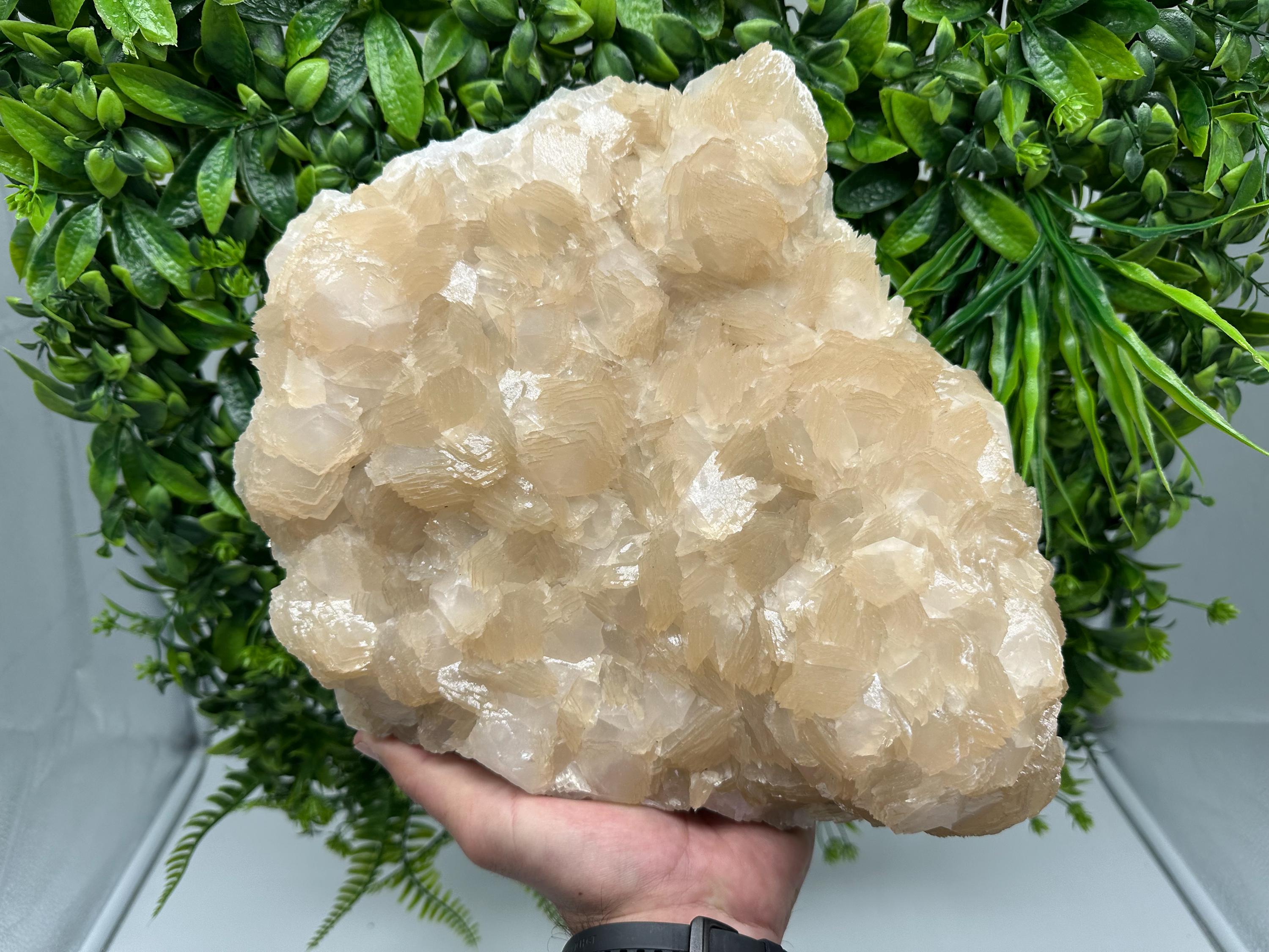 Extra Large Pink Manganocalcite Specimen: Krushev Dol Mine, Bulgaria