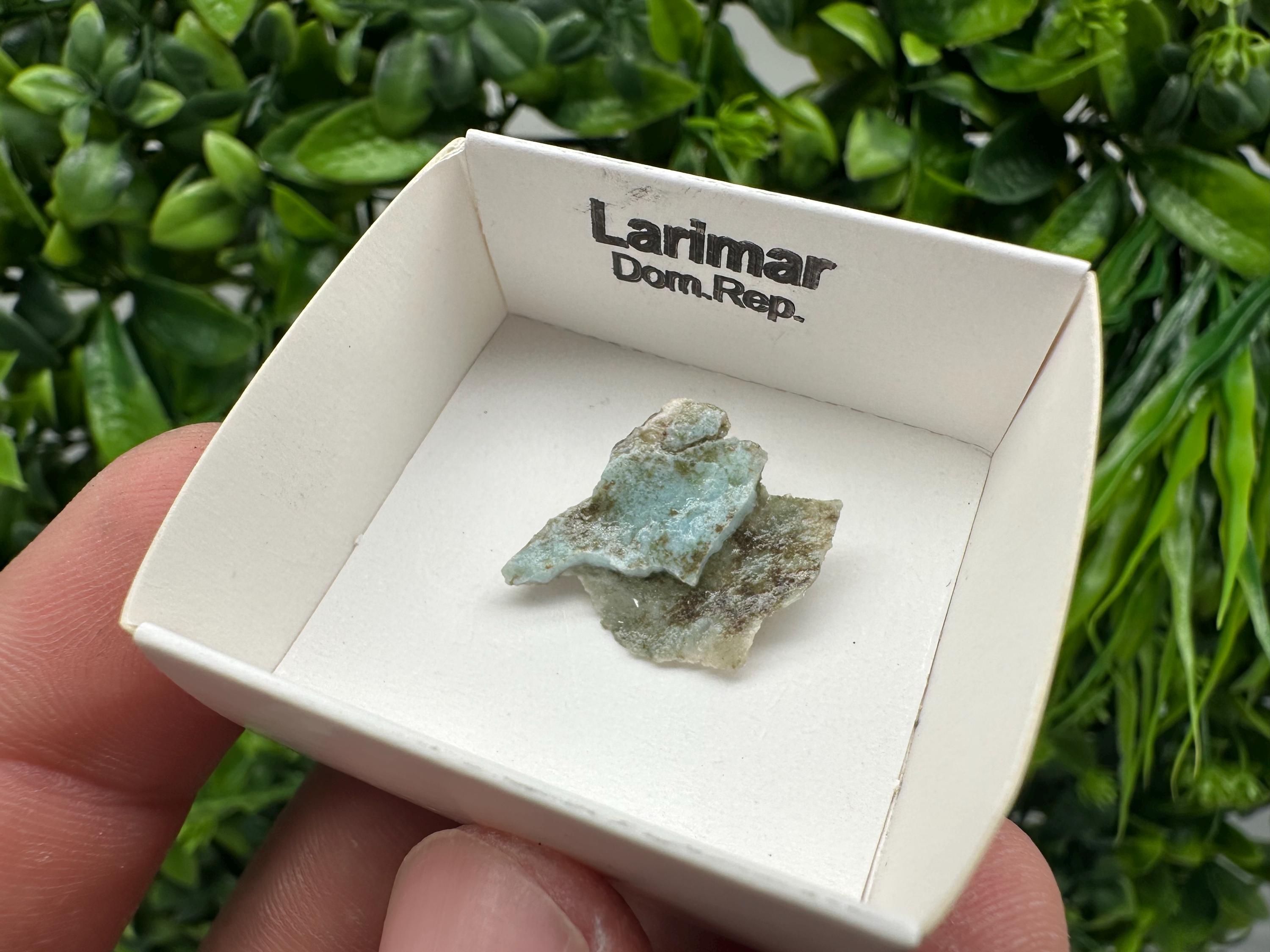 Rare Raw Larimar Specimen: Dom. Rep. Mineral Collection (20mm)