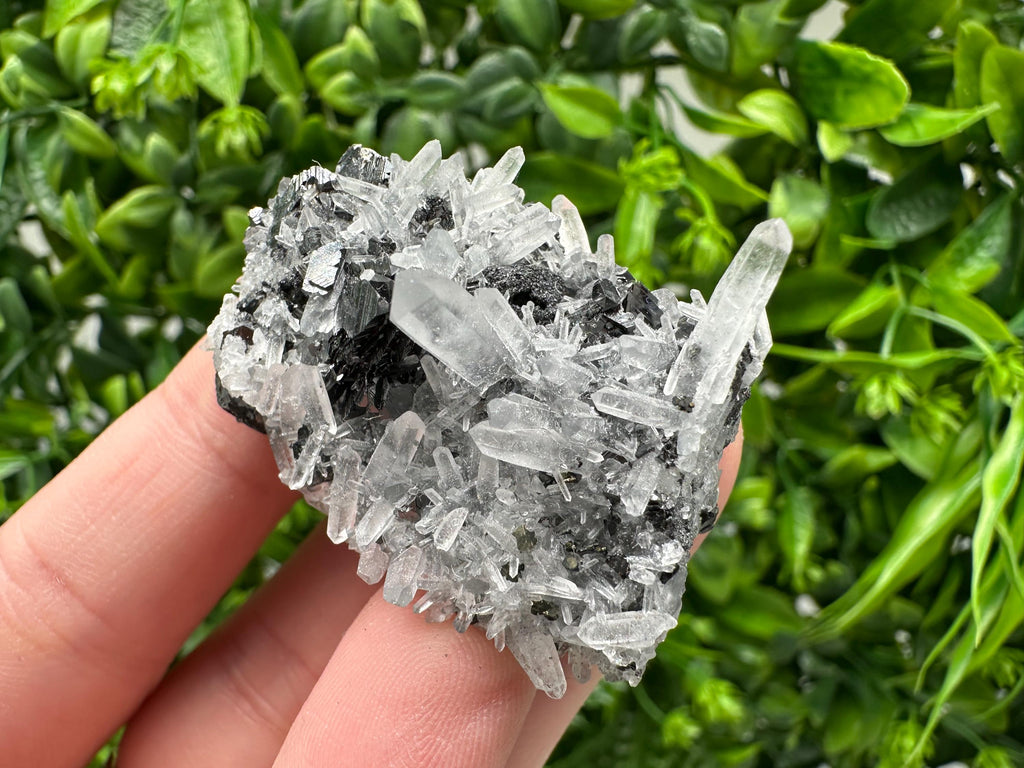 Wonderful Sphalerite Chalcopyrite on  Quartz whit Galena feom 9 th September mine,Bulgaria,natural,collection mineral specimen,gift