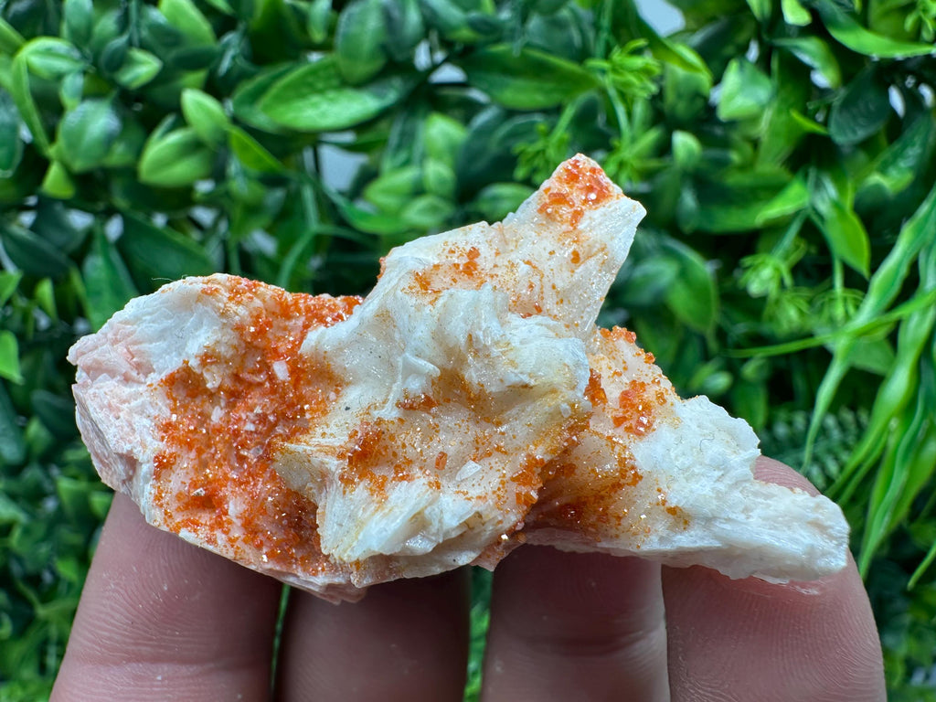 Red Vanadinite on Barite, Moroccan Crystal Cluster
