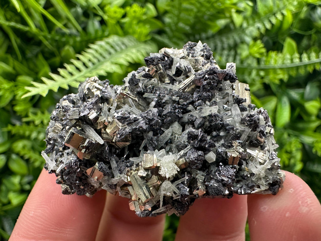Pyrite on Sphalerite and Quartz, Borieva Mine Mineral Specimen