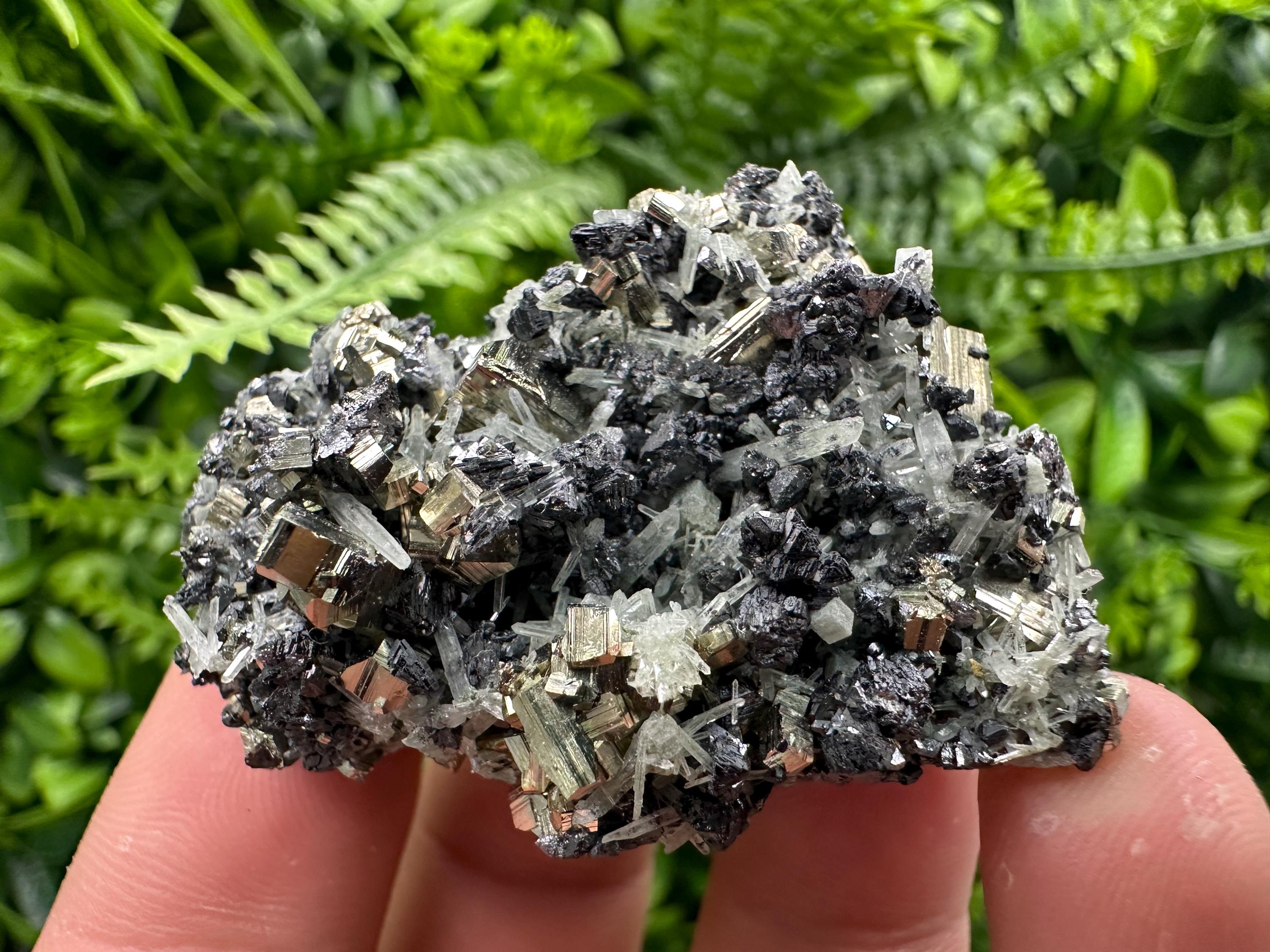 Pyrite on Sphalerite and Quartz, Borieva Mine Mineral Specimen