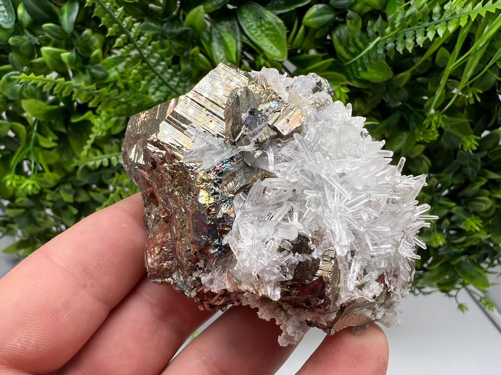 Rare Pyrite on Quartz Crystal: Borieva Mine, Bulgaria