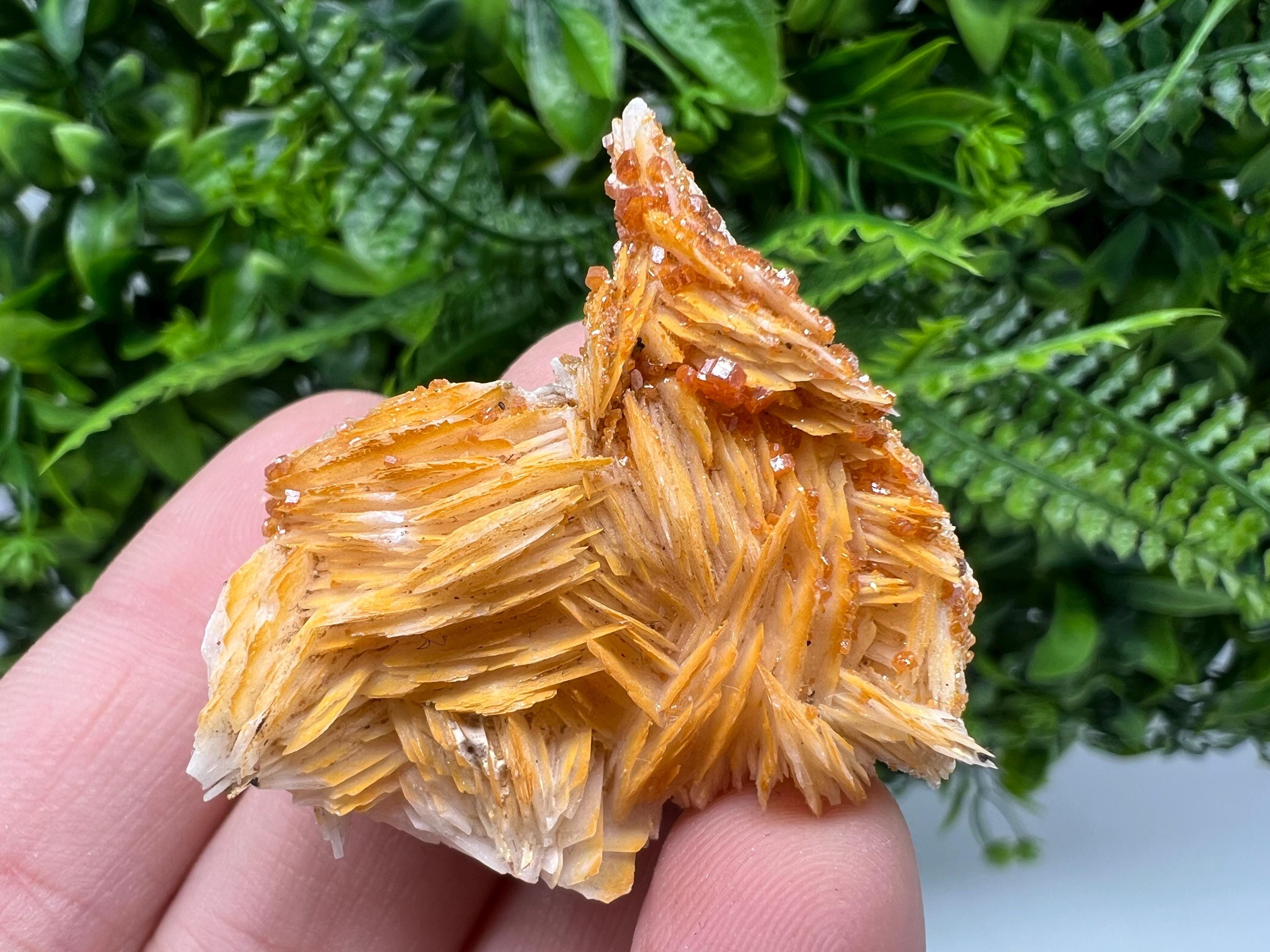 Red Vanadinite on Barite from Marocco,crystal minerals Speciment cluster Vanadinite crystal Vanadinite Geology Vanadinite cluster minerals