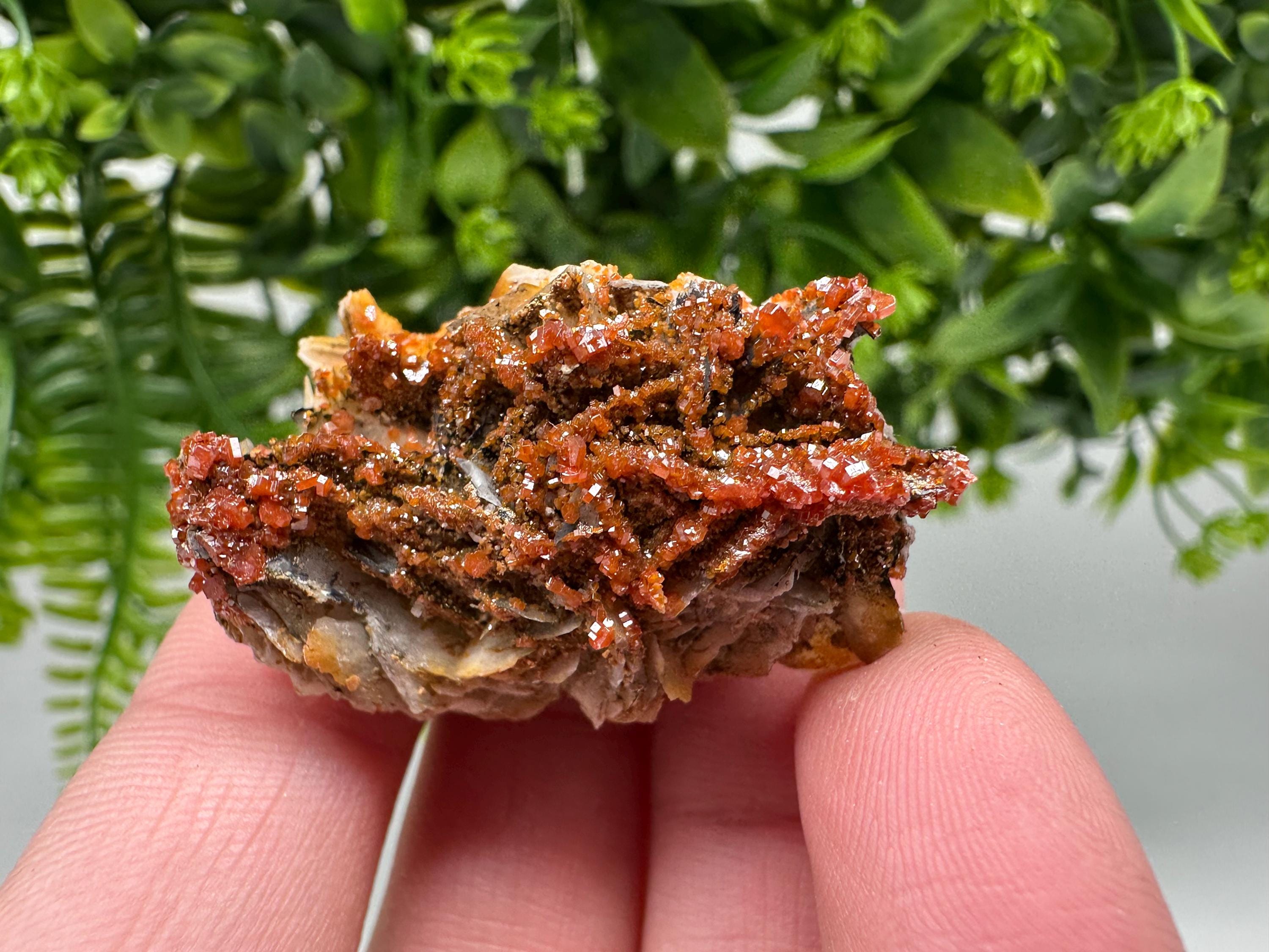 Red Vanadinite on Barite from Marocco,crystal minerals Speciment cluster Vanadinite crystal Vanadinite Geology Vanadinite cluster minerals