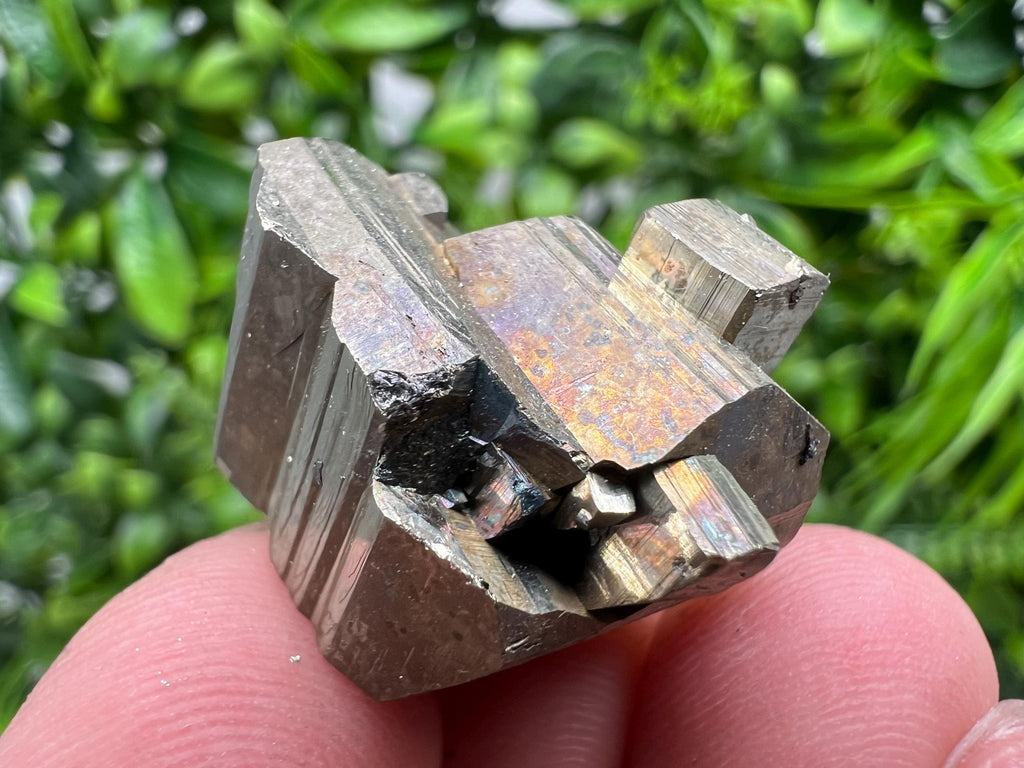 Mini Rainbow Pyrite Cluster: Borieva Mine, Bulgaria