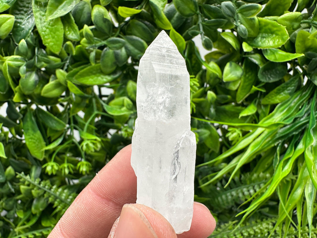 Transparent Quartz Crystal: Djurcovo Mine, Bulgaria