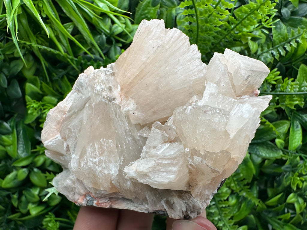 Stilbite on Matrix, Natural Crystal Mineral Specimen, India