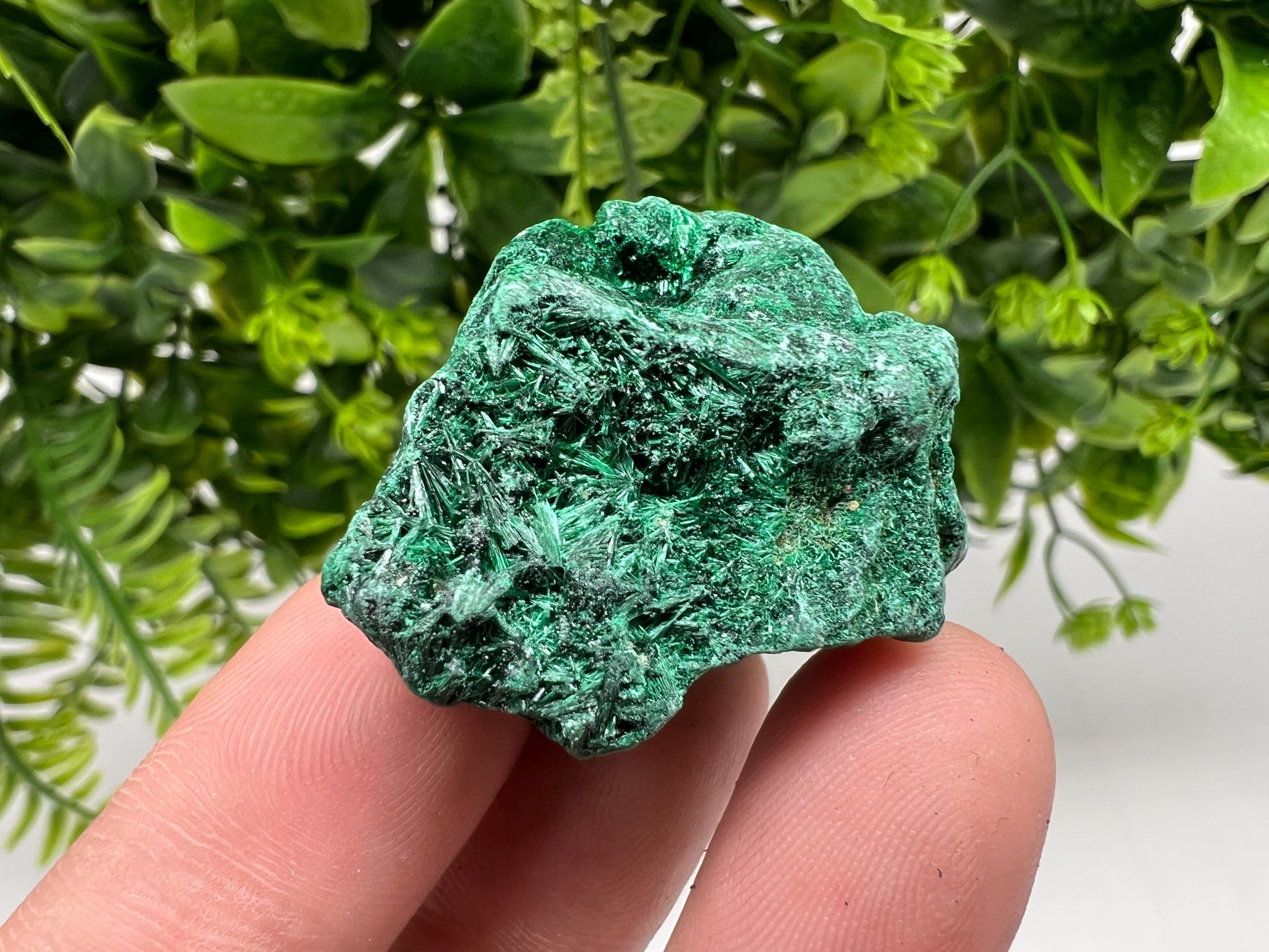 Malachite Crystal from Congo,Minerals,Crystals from Congo,Green Malachite, Malachite,Natural Malachite,Malachite Stone,Chakra, Specimens