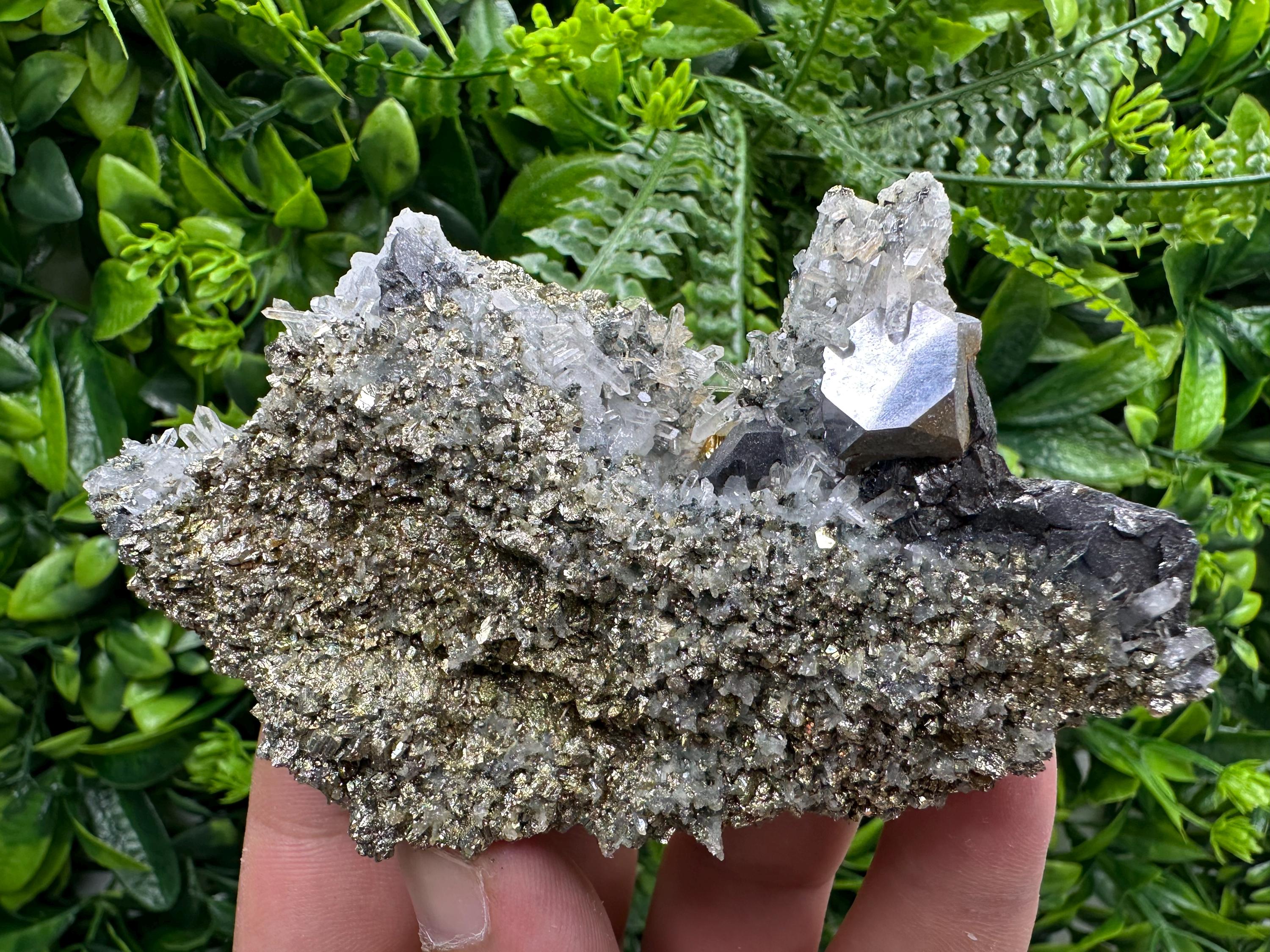 Galena with Quartz on Pyrite, Borieva Mine Mineral Specimen
