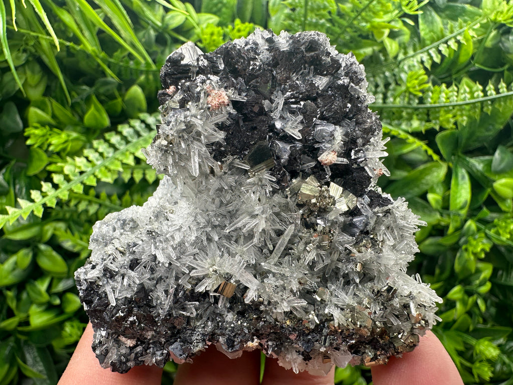 Sphalerite Galena Pyrite on Quartz, Borieva Mine Mineral Specimen