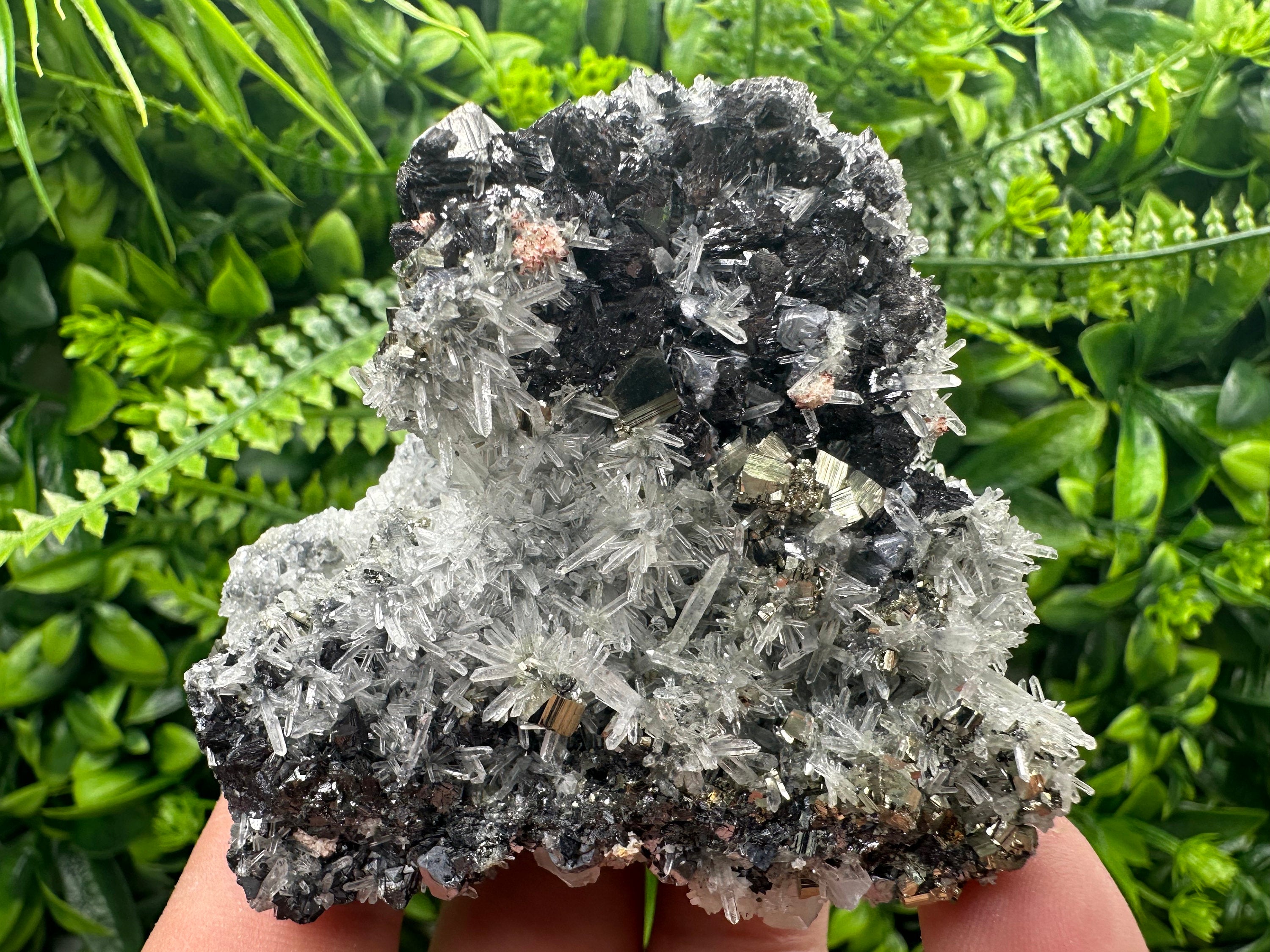 Sphalerite Galena Pyrite on Quartz, Borieva Mine Mineral Specimen