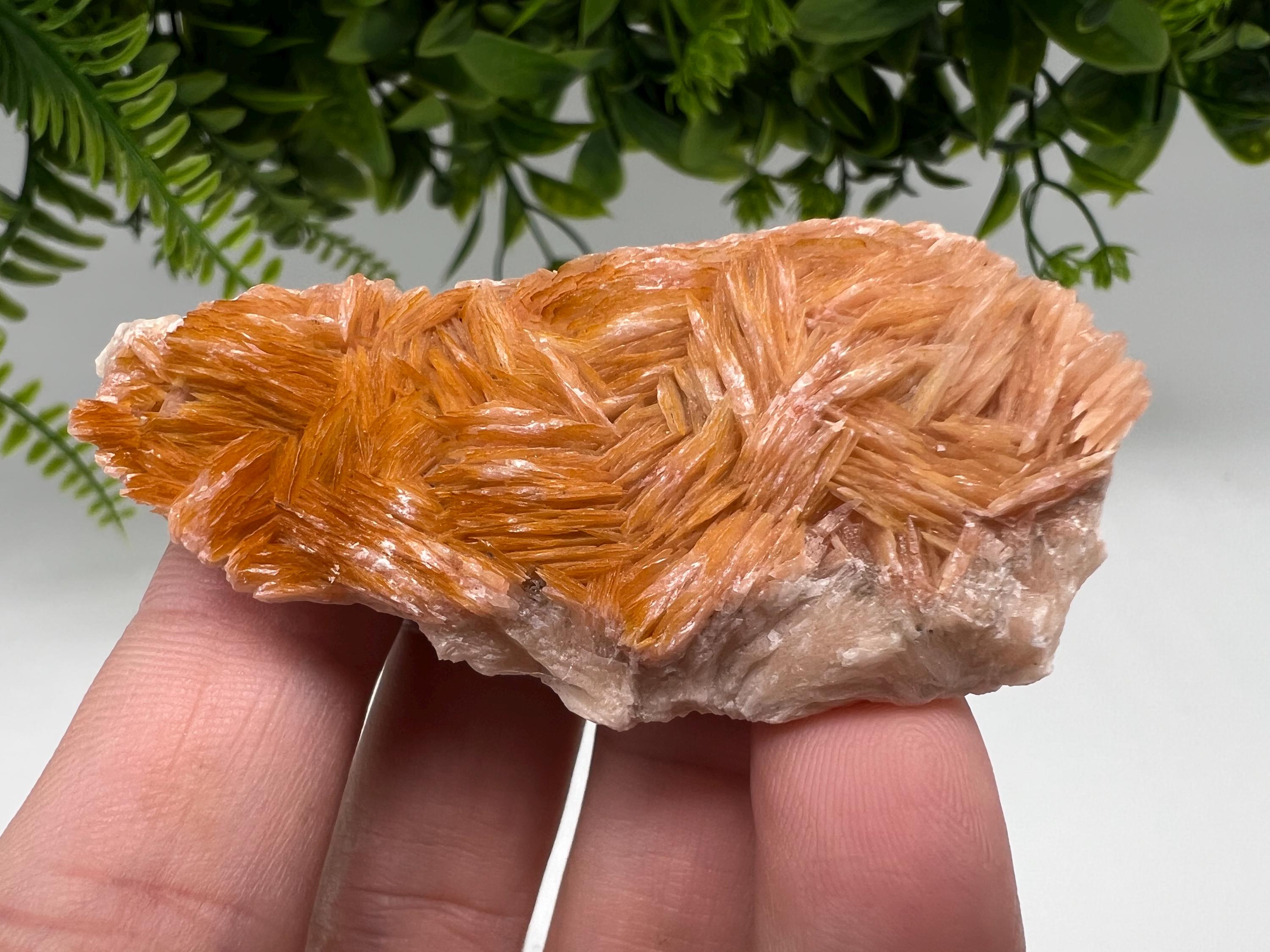 Wonderful Baryte with Cerussite on Galena from Morocco,Crystal, Mineral,Specimen,Cluster,Crystals,Barite Crystal,Cerussite Crystal,Specimen