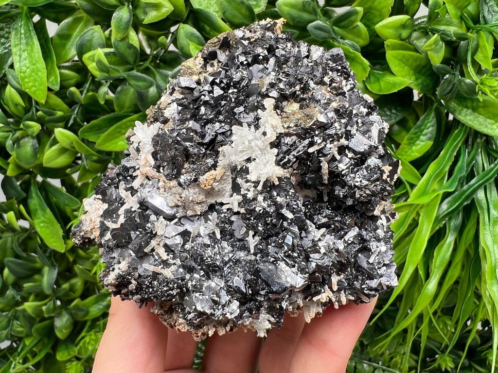 Black Sphalerite, Quartz, Galena Mineral Specimen: Madan Bulgaria Crystal