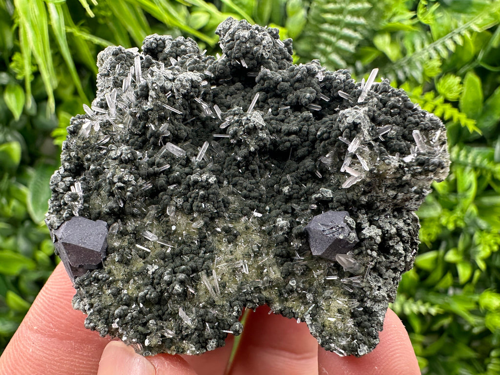 Galena on Green Quartz Crystal, Borieva Mine, Bulgaria