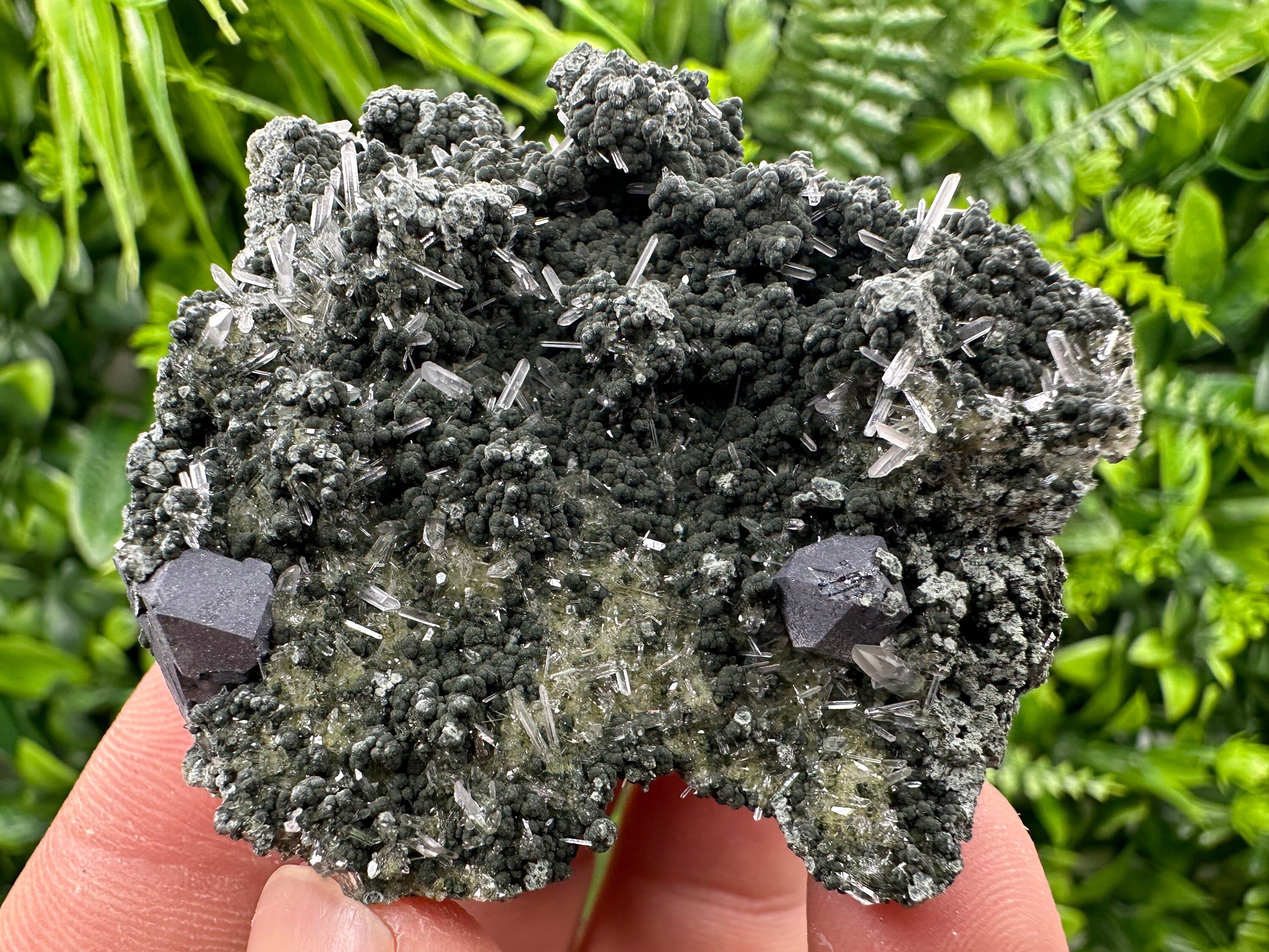 Galena on Green Quartz Crystal, Borieva Mine, Bulgaria