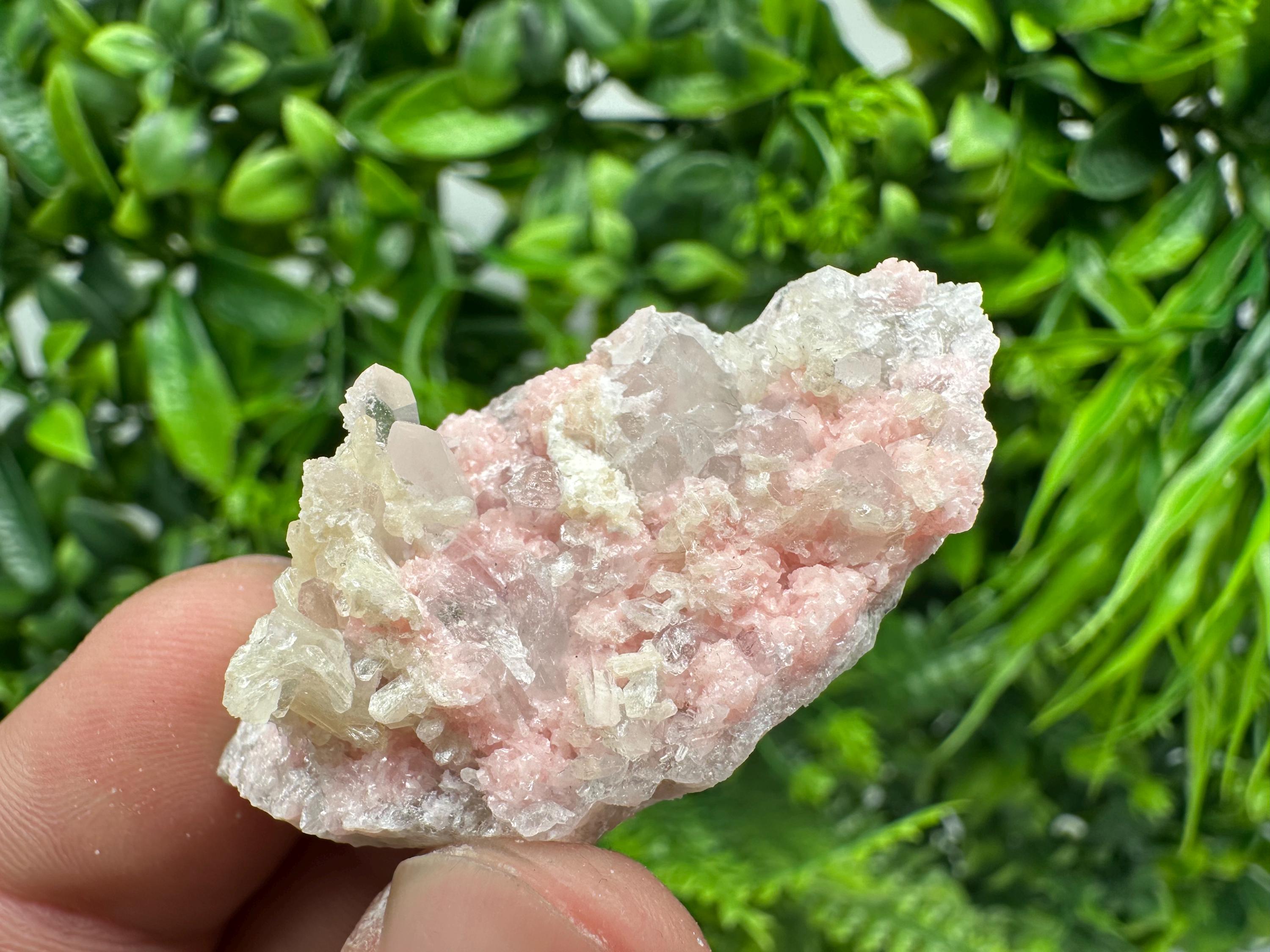 Rhodochrosite on Quartz, Starnica Mine, Bulgaria