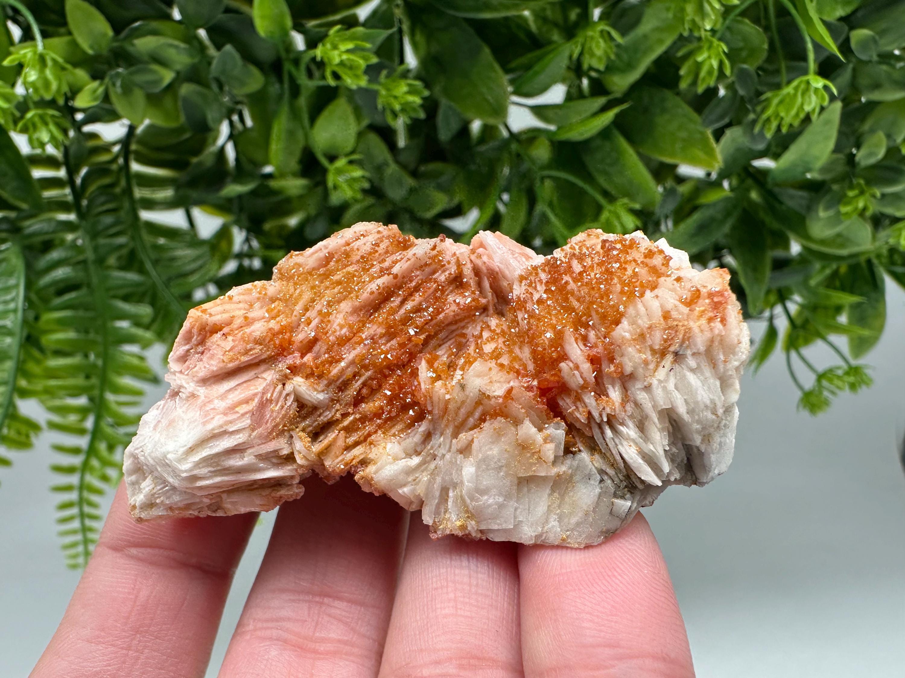 Red Vanadinite on Barite from Marocco,crystal minerals Speciment cluster Vanadinite crystal Vanadinite Geology Vanadinite cluster minerals