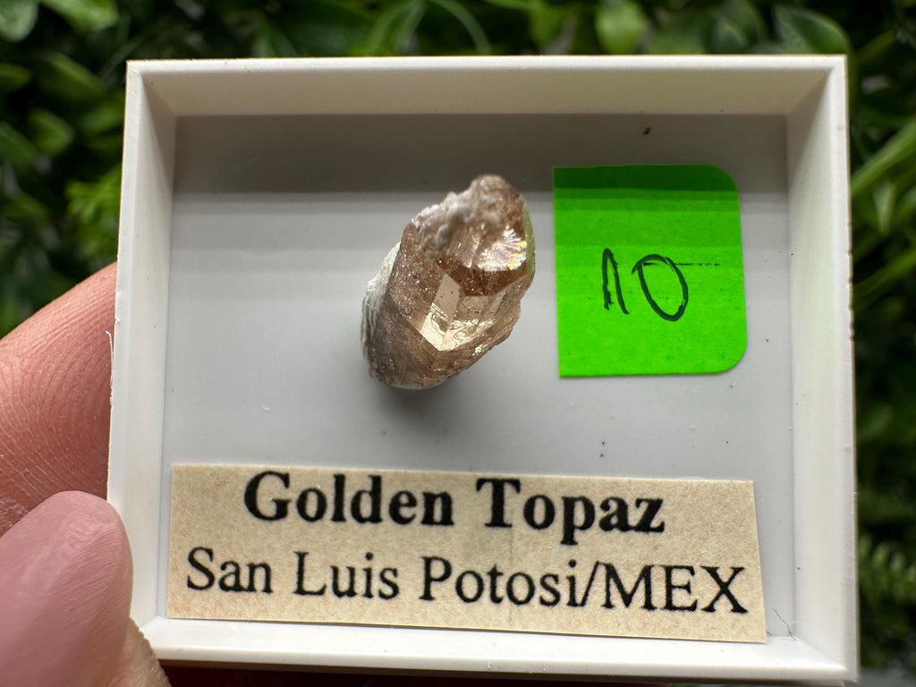 Golden Topaz Crystal, Mineral Specimen from Mexico