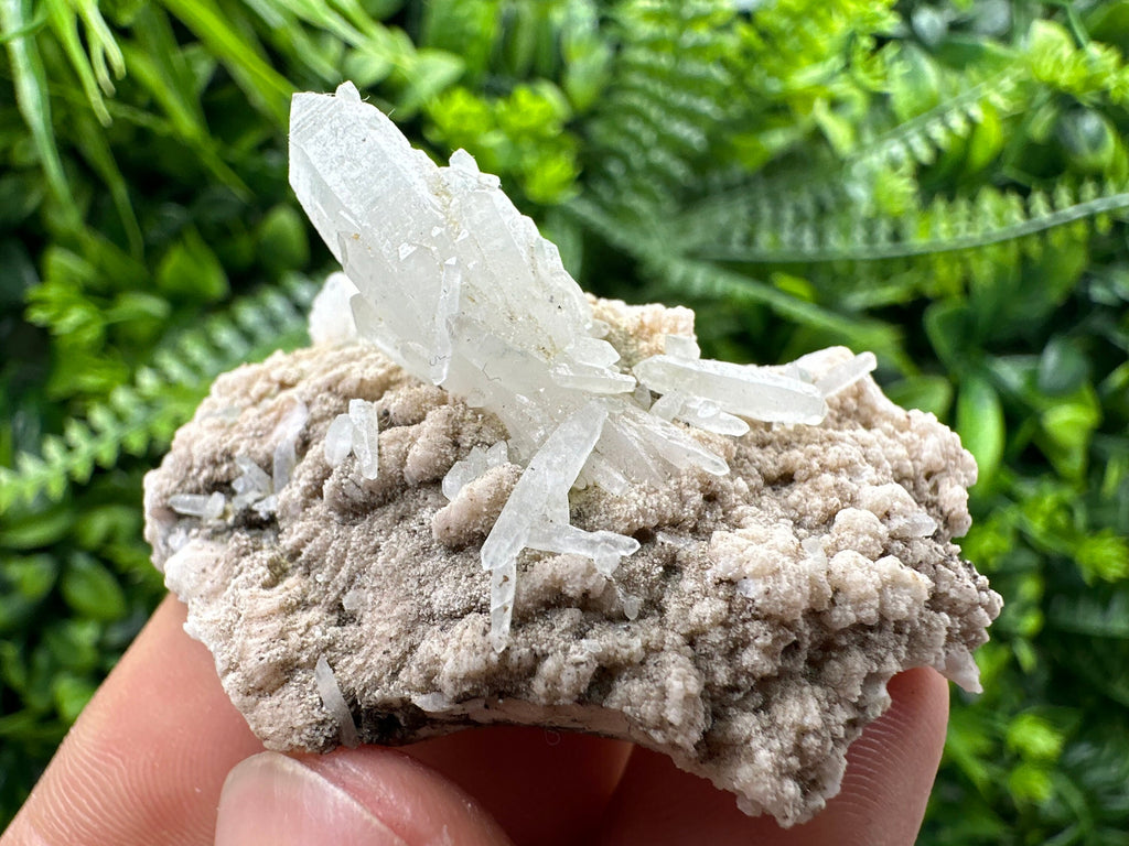 Quartz with Chlorite, Rhodochrosite, Siderite - Mineral Specimen