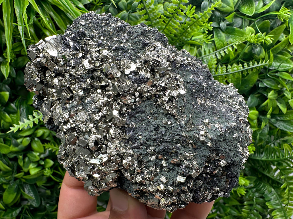 Golden Pyrite on Sphalerite with Chlorite, Bulgaria Mineral Specimen