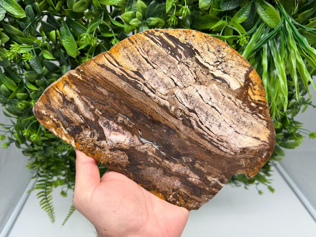 Polished Landscape Jasper Slab – Natural Scenic Stone Slice, Grounding Decor (22/17 CM)