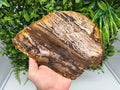 Polished Landscape Jasper Slab – Natural Scenic Stone Slice, Grounding Decor (22/17 CM)