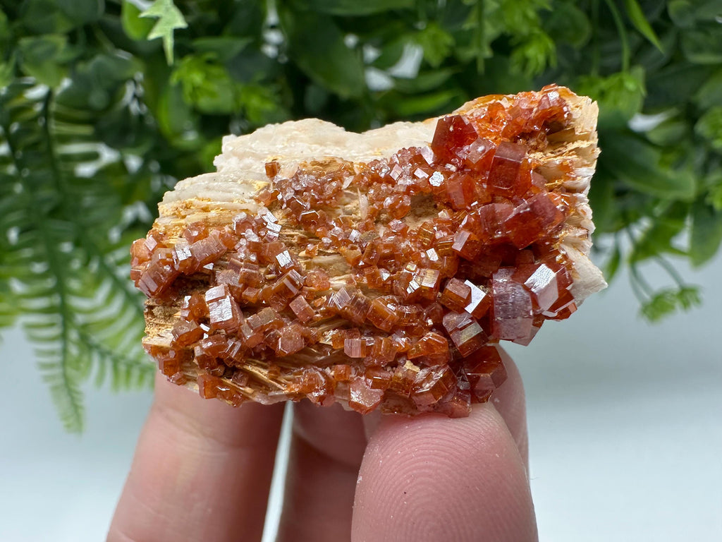 Red Vanadinite Crystal Cluster on Barite Matrix from Morocco